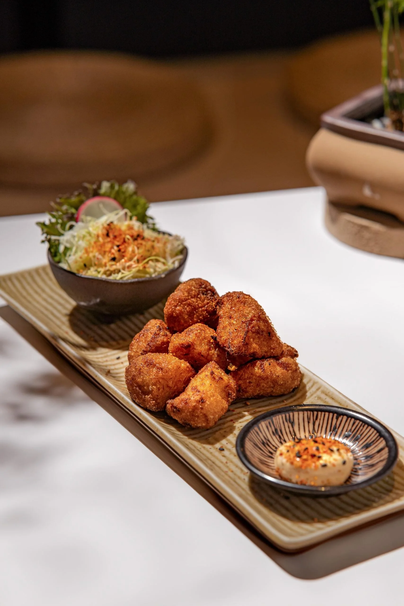 A rectangular ceramic plate holding several pieces of fried chicken, a bowl of coleslaw with a slice of radish, and a small bowl of dipping sauce. Another similar bowl is visible in the foreground, and a pot with a plant is in the background.