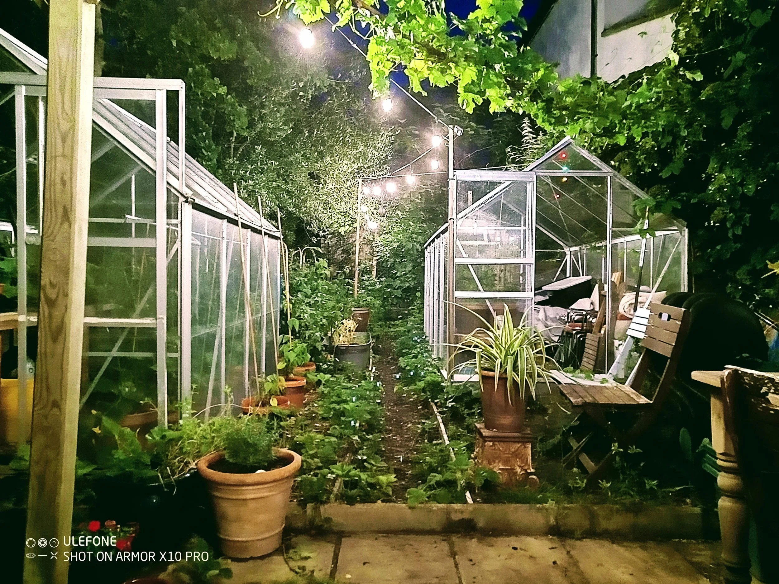 Boutique-Retreat-Night-Garden.jpg