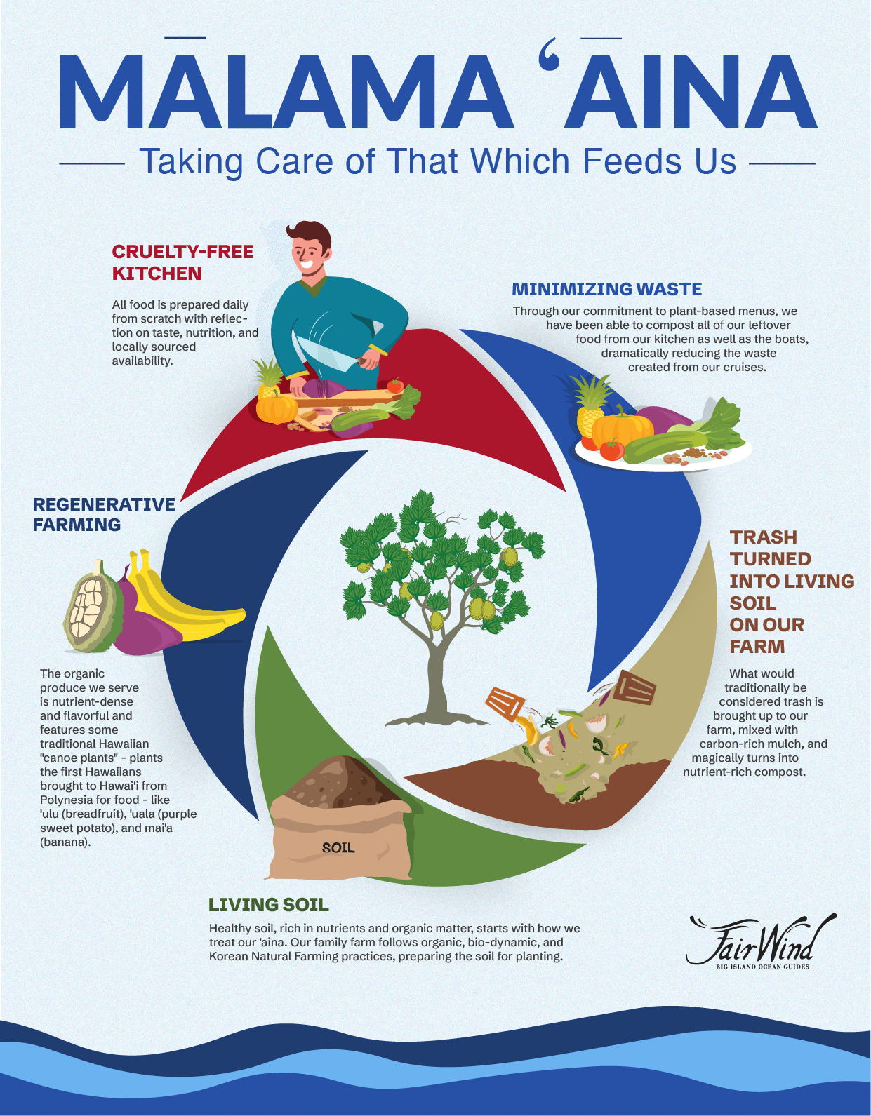 FW-regenerative-food-process-graphic-design-for-posters-main-file--(1)-(2).png