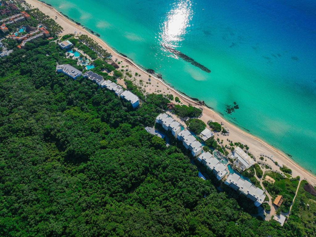 Aerial view of a coastal area showing a dense green forest with buildings along the shoreline, clear turquoise ocean water, and sandy beach.
