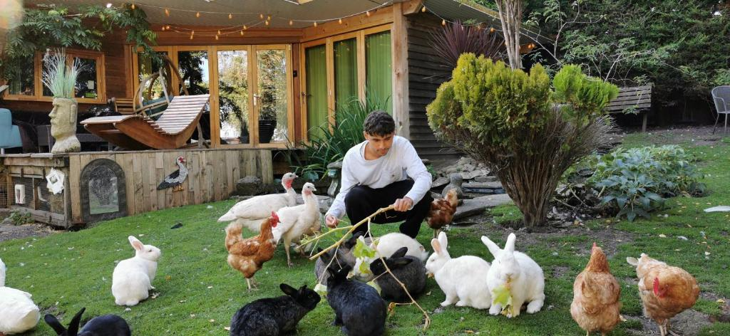 A young man in a white long-sleeve shirt and black pants is tending to a variety of domestic rabbits and chickens in a backyard garden. The animals are gathered on green grass near bushes and a wooden deck with outdoor furniture and decorative elemen