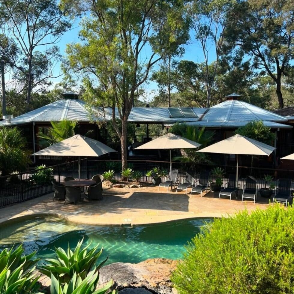 Outdoor swimming pool area with lounge chairs and umbrellas, surrounded by green plants and trees, with a building in the background and a clear blue sky.