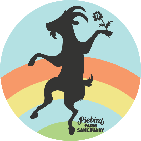 A black silhouette of a whimsical goat standing on its hind legs, holding a flower in one hoof, with a colorful rainbow background and the words "Piebird Farm Sanctuary" at the bottom.