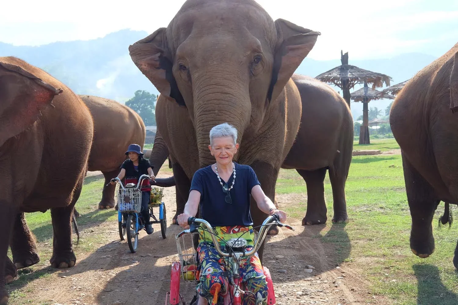 An elderly woman on a red mobility scooter smiling in front of a large elephant with two children riding bicycles nearby, in a park with elephants and thatched umbrellas in the background.
