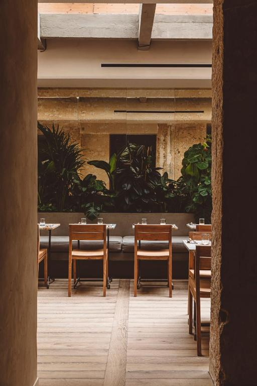 Empty restaurant dining area with wooden tables and chairs, large potted plants against a back wall, and a partially covered ceiling.