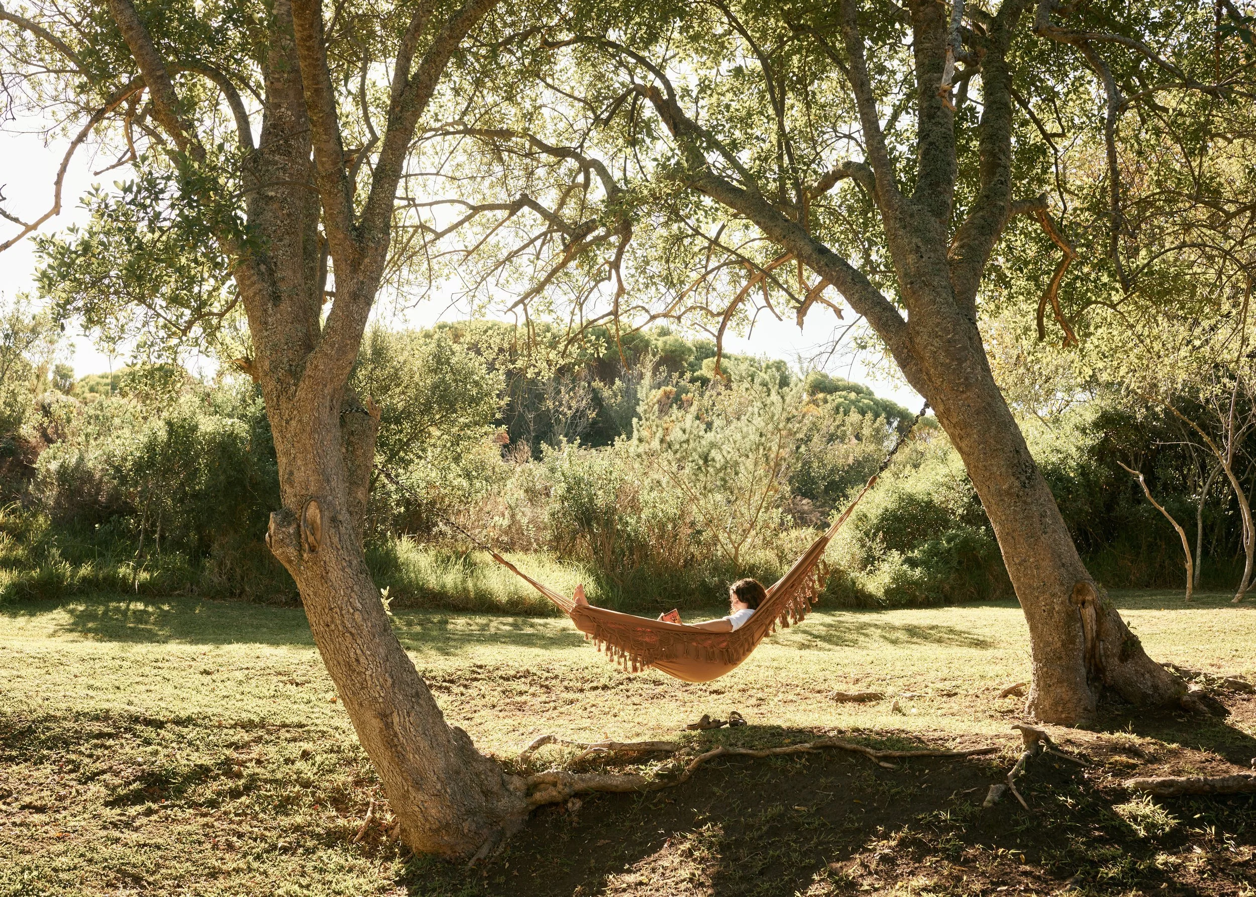 A person relaxing in a hammock tied between two trees in a grassy area, with trees and bushes in the background, sunlight filtering through the foliage.