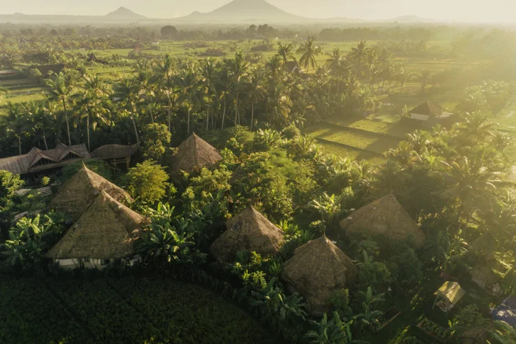 Aerial view of a lush green landscape with thatched-roof huts, palm trees, and cultivated fields in the background, with mountains in the distance.