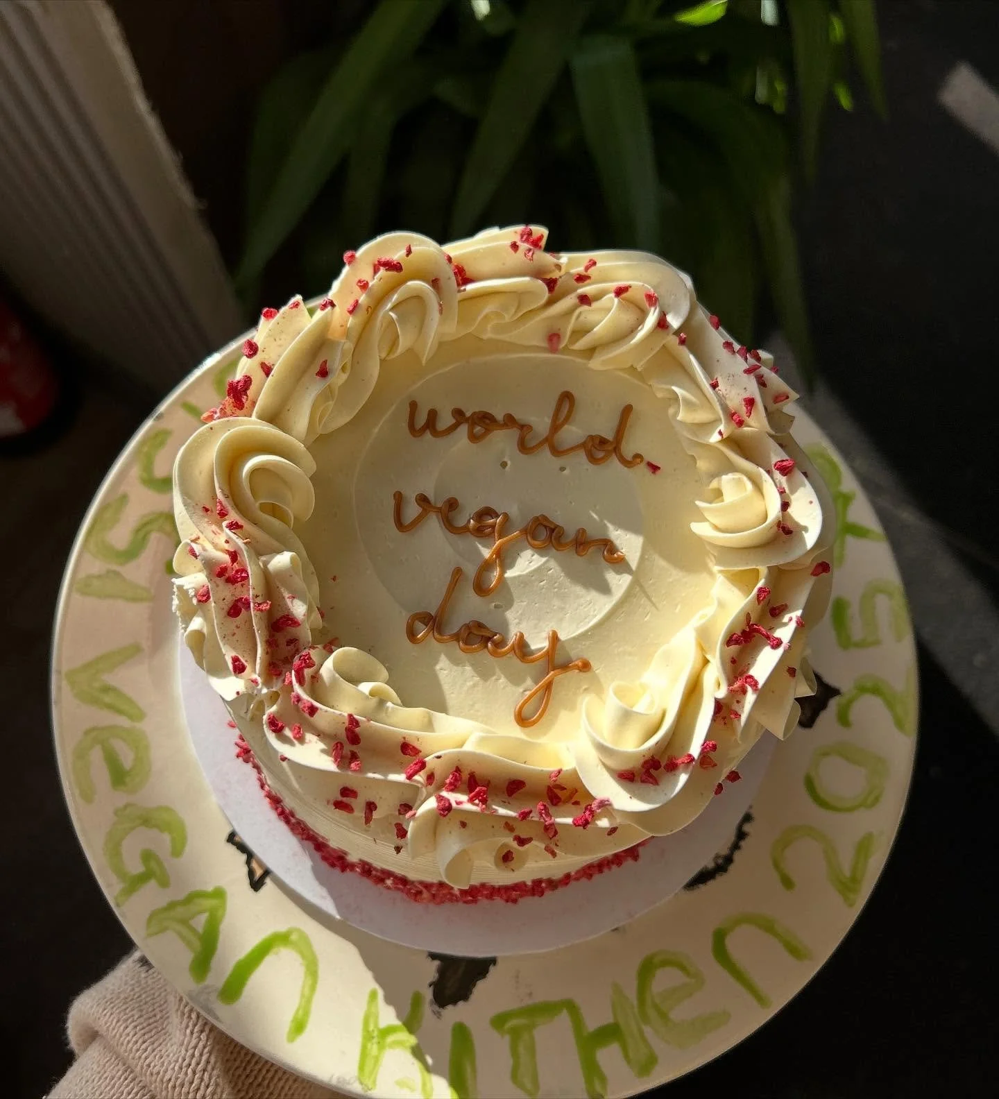 A round white cake decorated with white frosting and red sprinkles, with the message "world year day" written on top. The cake is on a white paper plate with green writing around the edge.