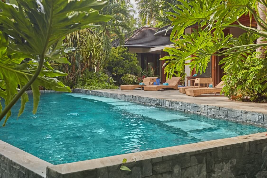 A backyard with a swimming pool surrounded by lush green plants and trees, with a patio featuring lounge chairs and umbrellas near a house.