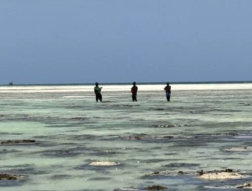 Three people walking along a vast, shallow body of water with patches of salt or minerals, under a blue sky.