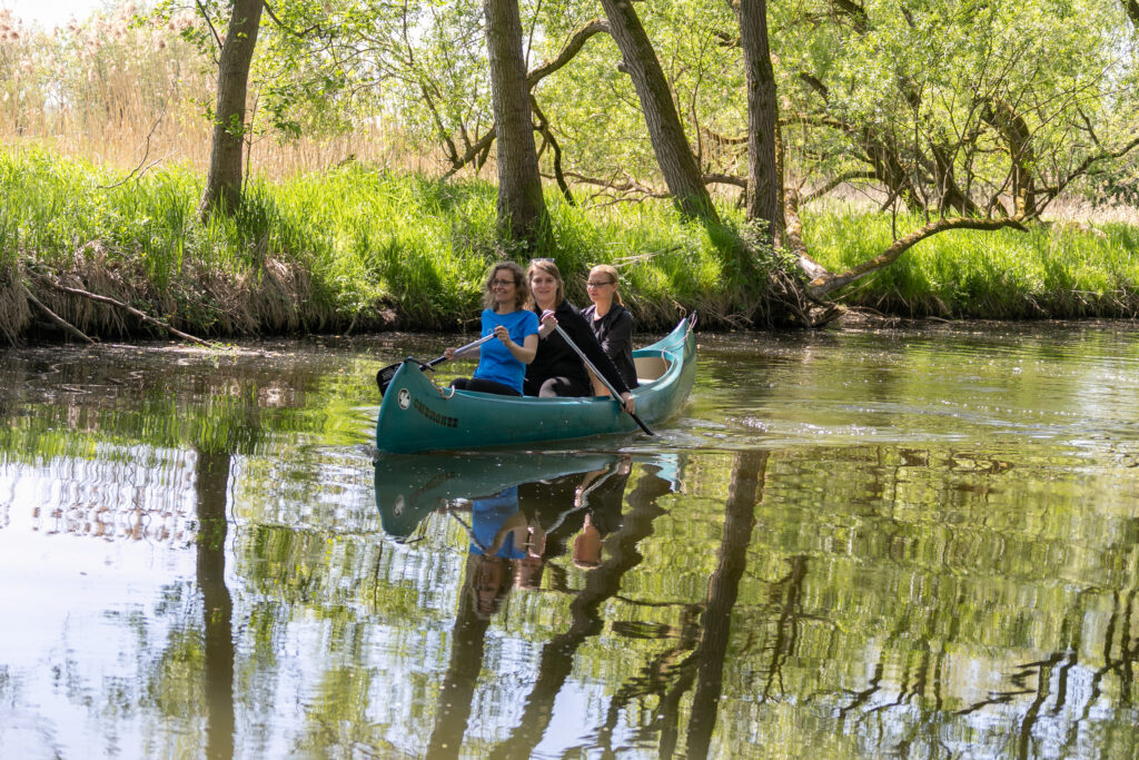 Three women canoeing on a calm river surrounded by green trees and lush grass.