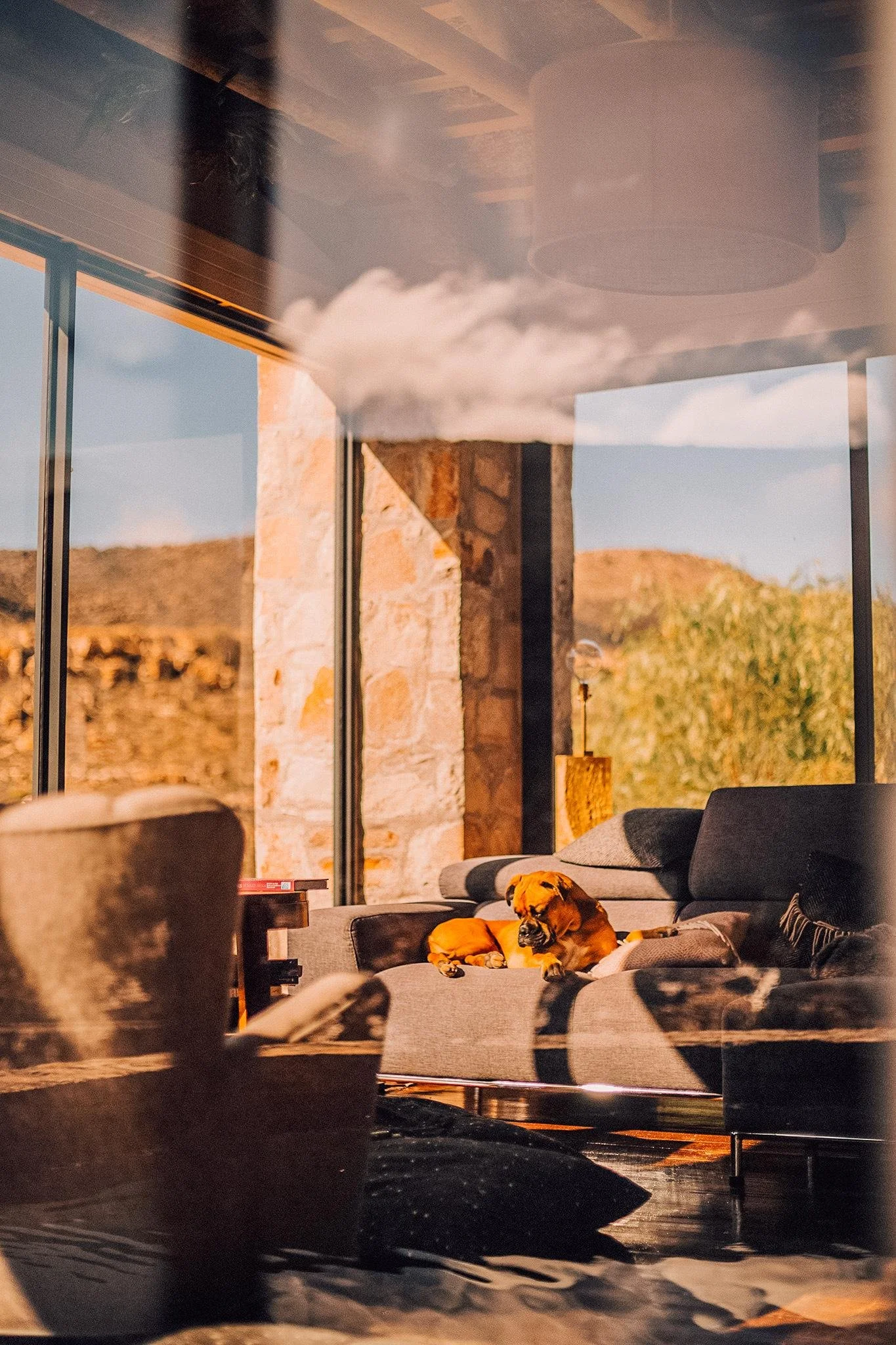 Interior view of a modern home living room with large windows showing a rocky landscape outside. A dog is sleeping on a gray sectional sofa, with a yellow pillow on its side. The room has warm lighting, and reflections of the ceiling and large window