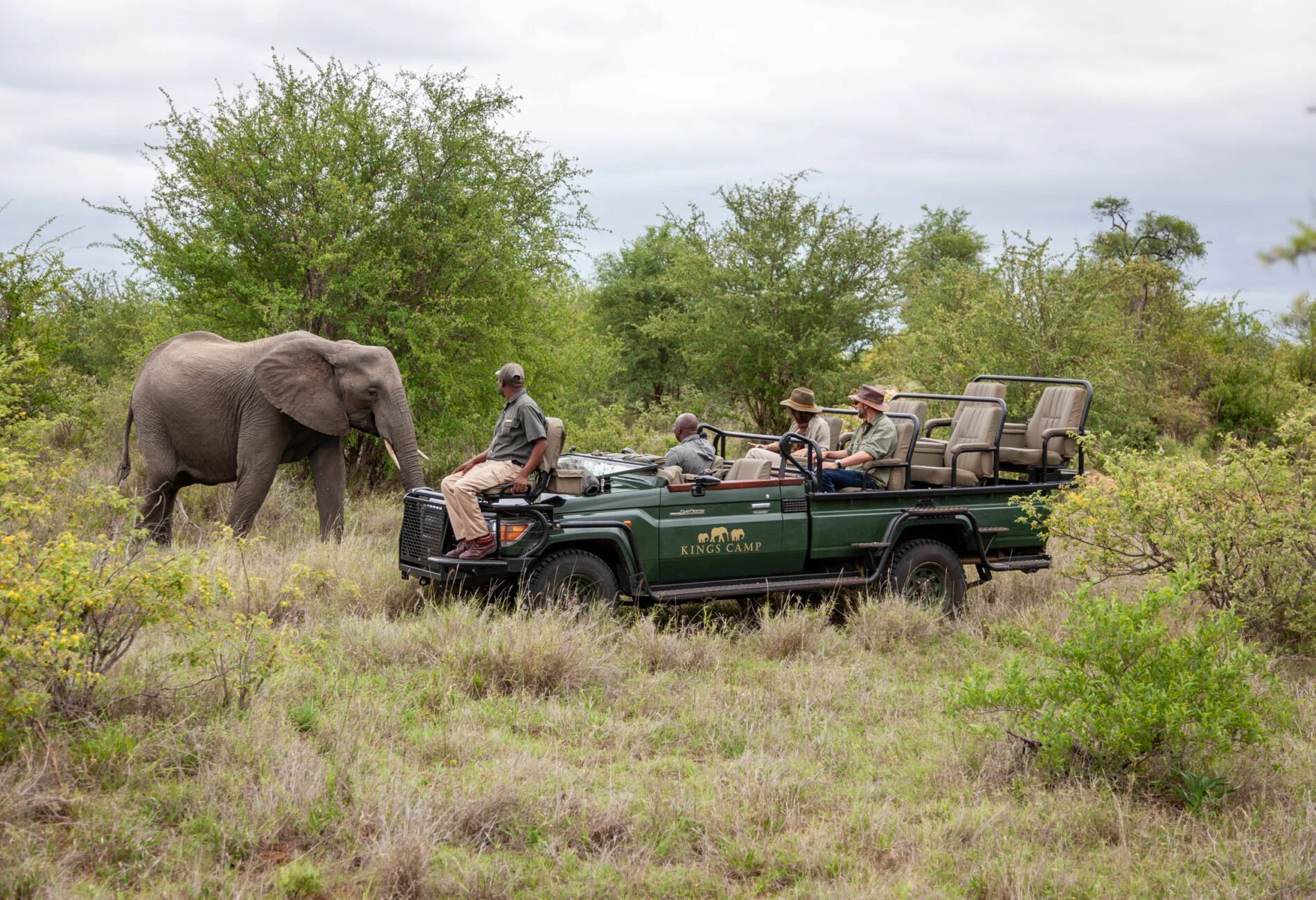 Group of people on a safari tour in a vehicle labeled Kings Camp, observing an elephant in the wild surrounded by green trees and bushes.