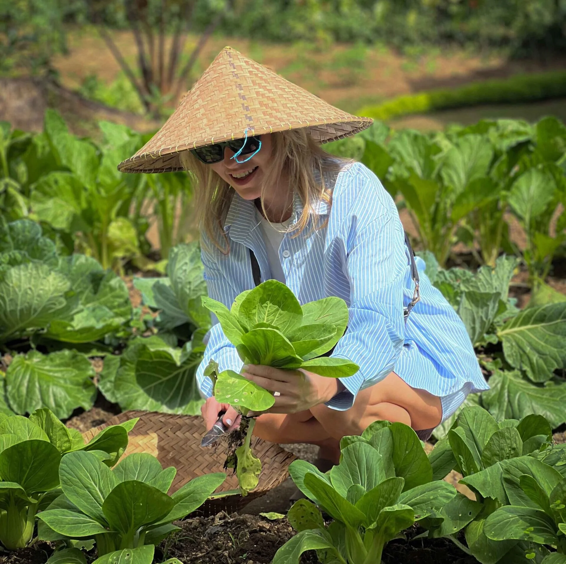 Woman gardening in a vegetable garden, wearing a traditional conical hat, sunglasses, and a striped shirt, holding a leafy green vegetable.