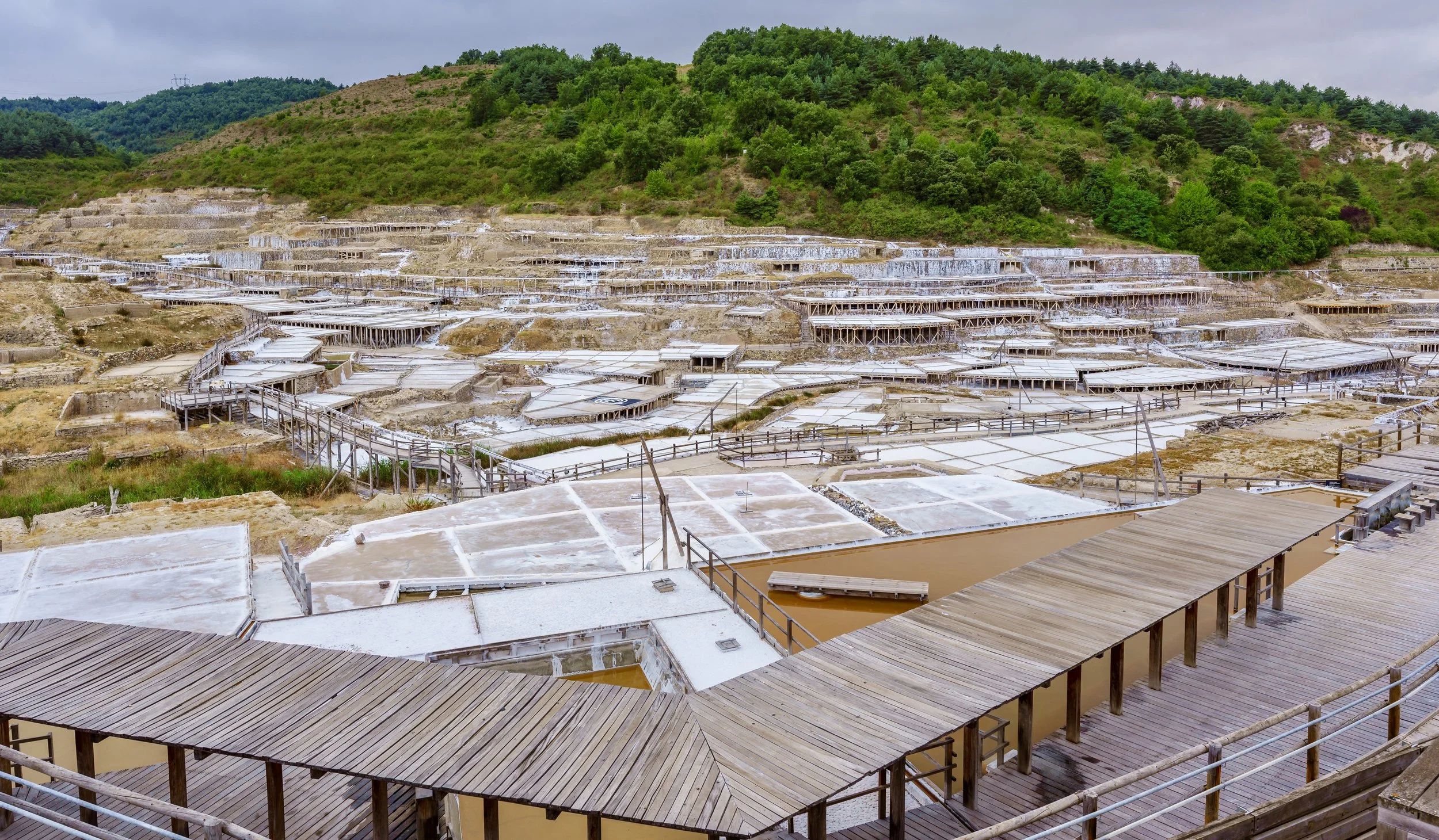 AdobeStock_533605501_Editorial_Use_Only 2.jpeg