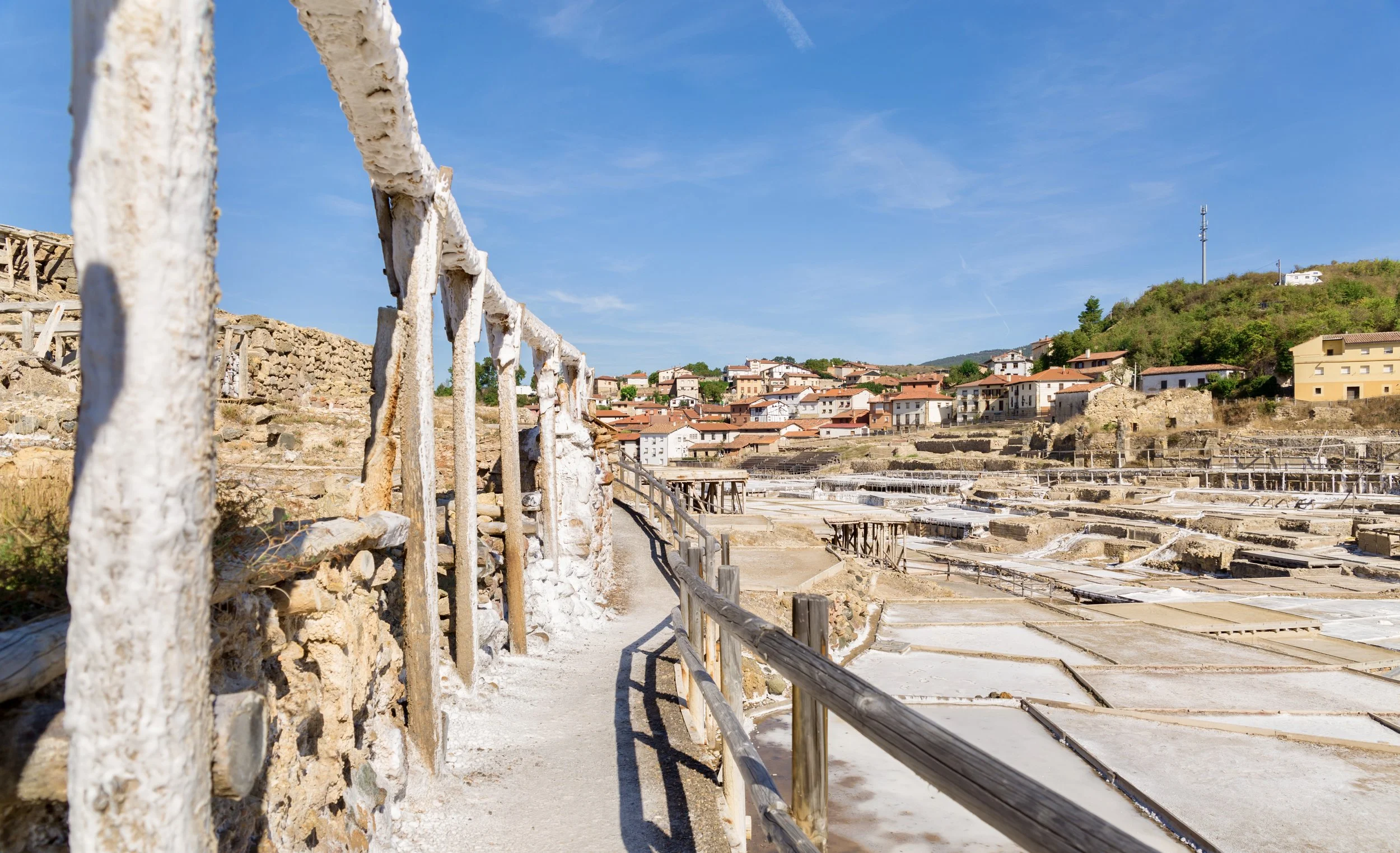 AdobeStock_227261101 2.jpeg