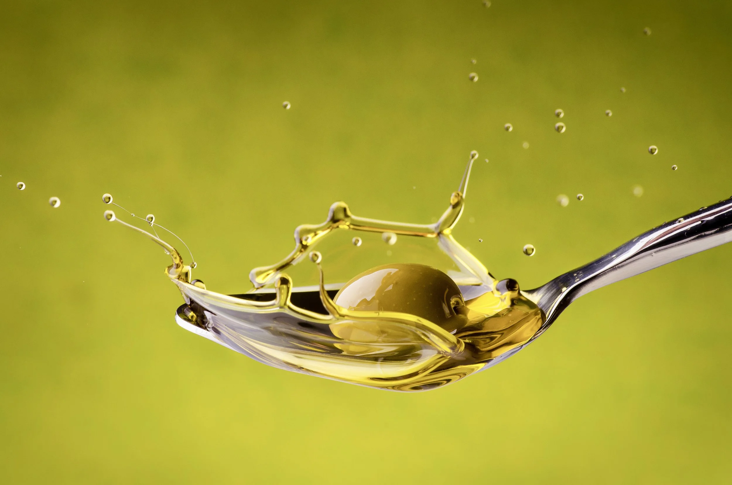 AdobeStock_65005066 2.jpeg