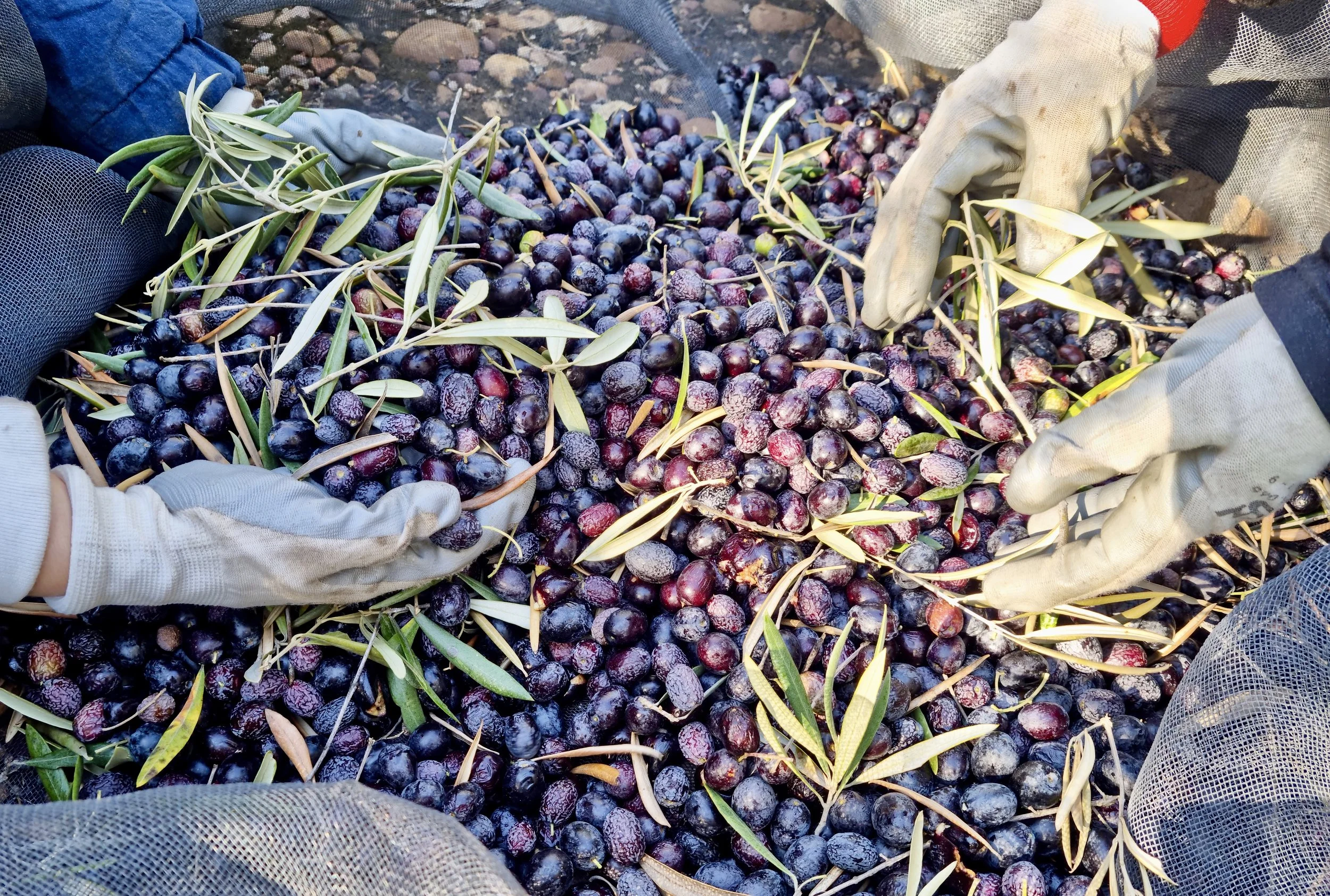 AdobeStock_543010248 2.jpeg