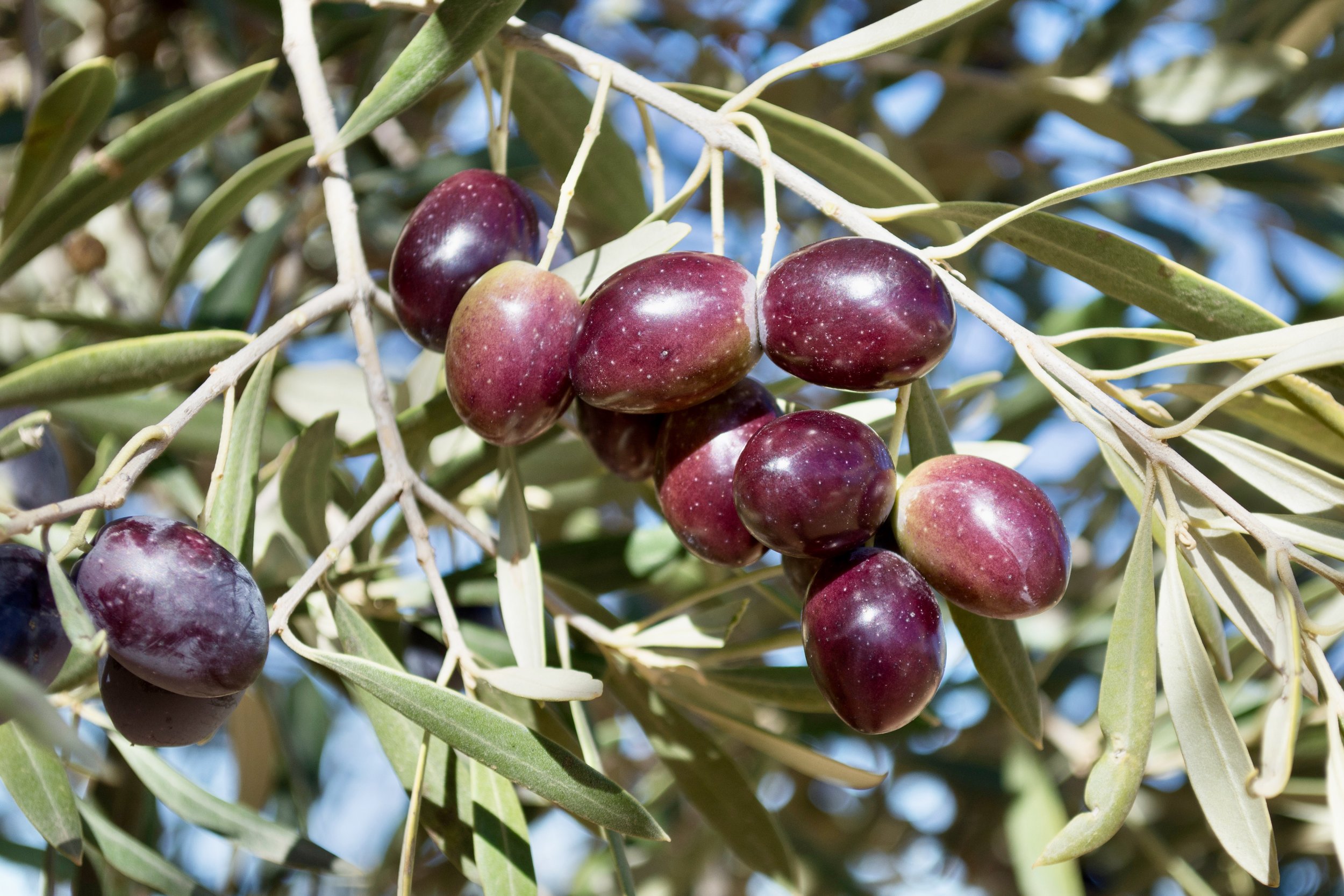 AdobeStock_543897805 2.jpeg