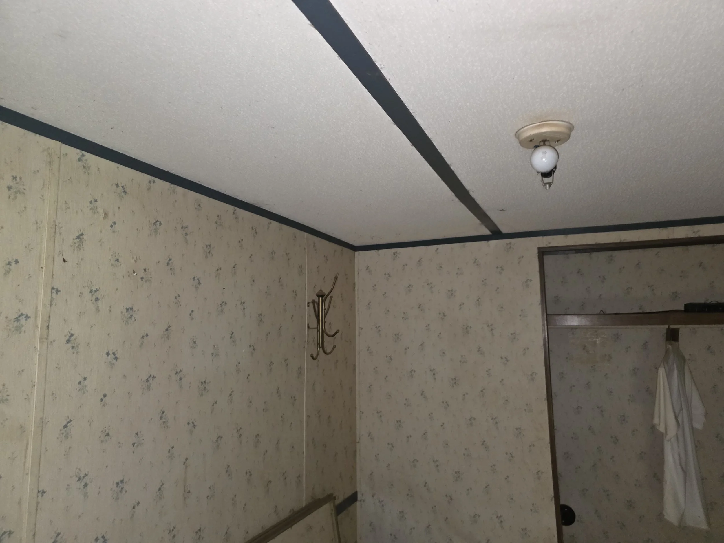 20250717_094442.jpg