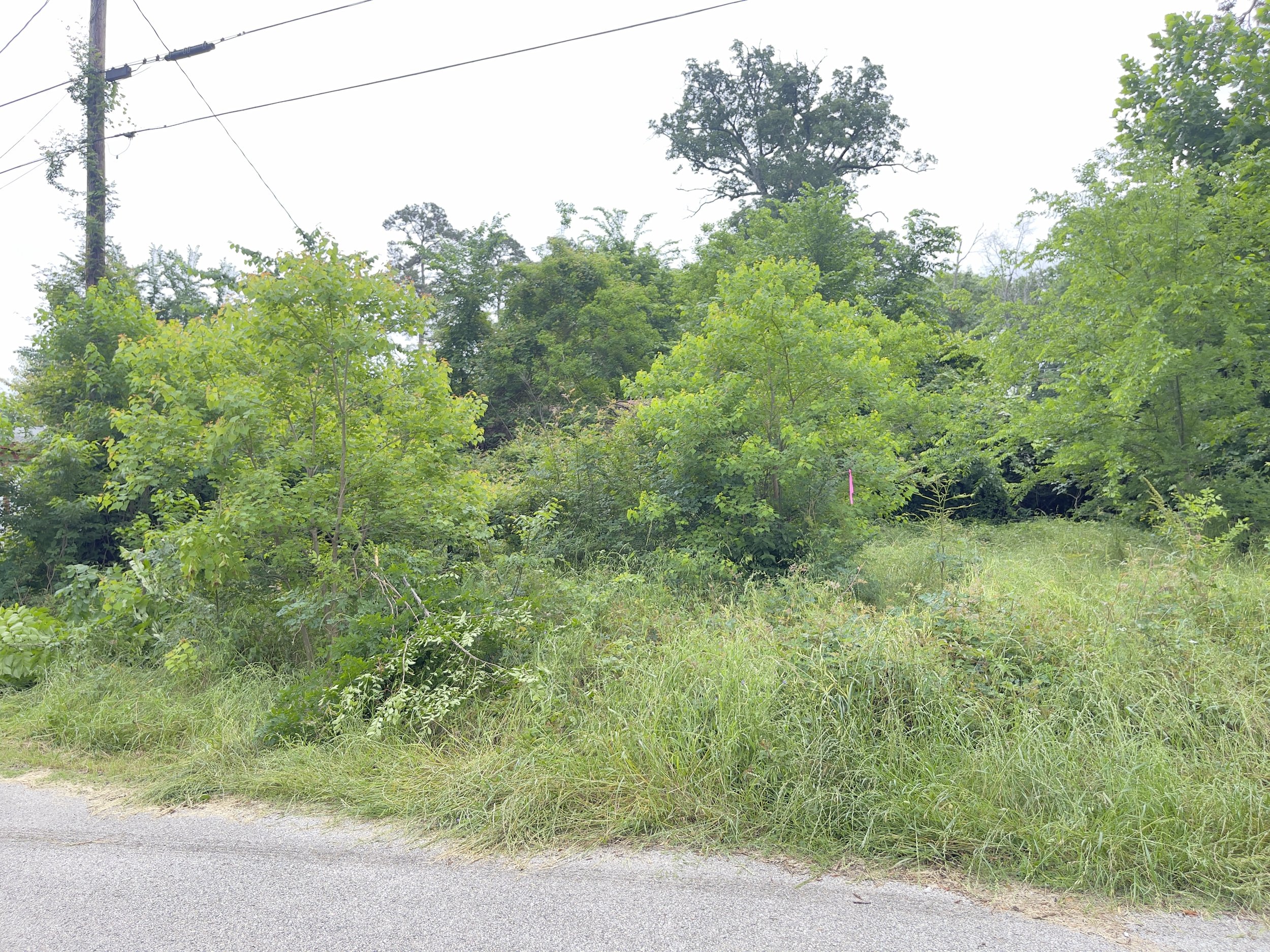 2 Lots House Shell/Slab Unrestricted Lake Palestine near Tyler, Texas Financing