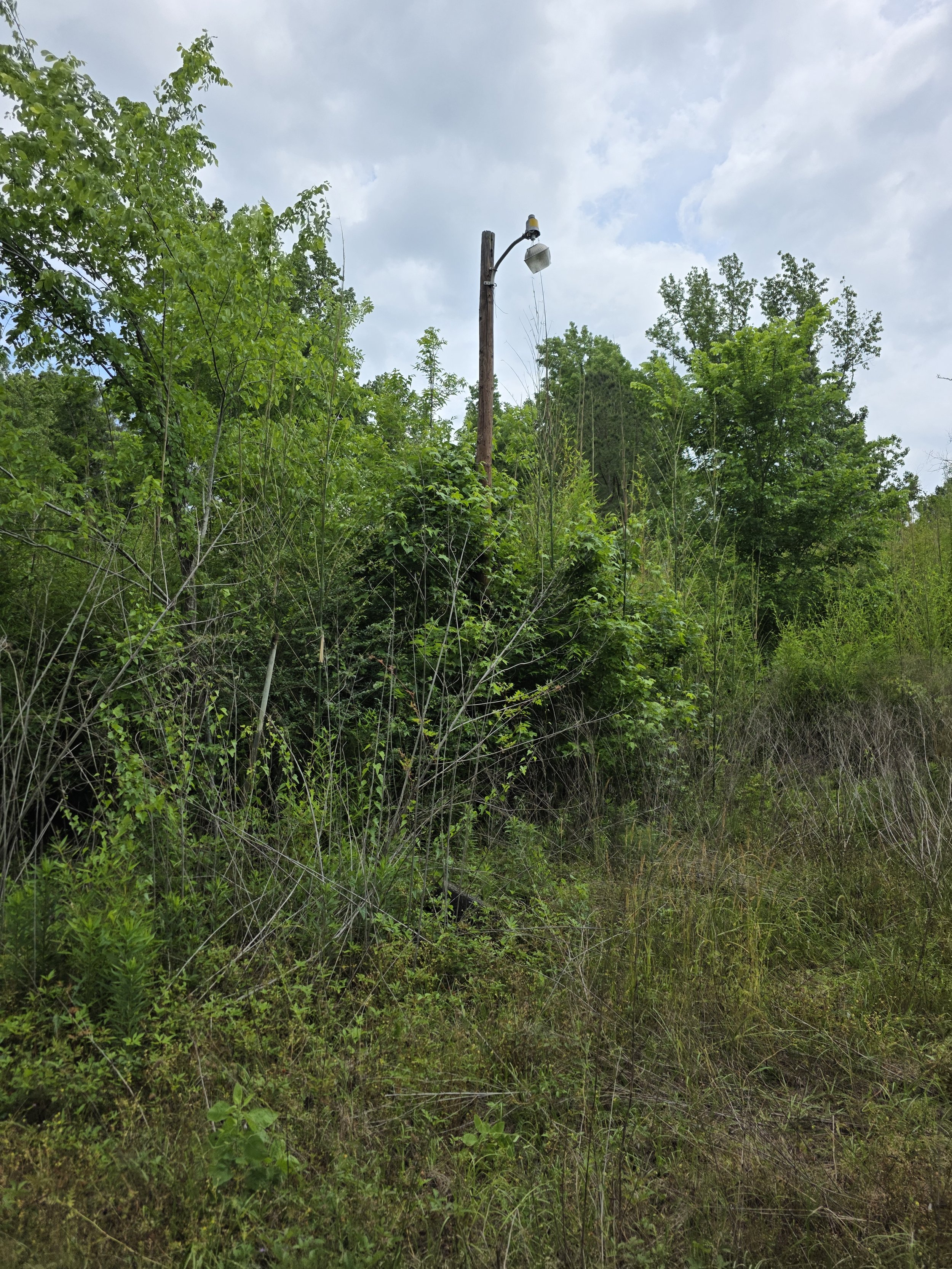20250430_115919.jpg