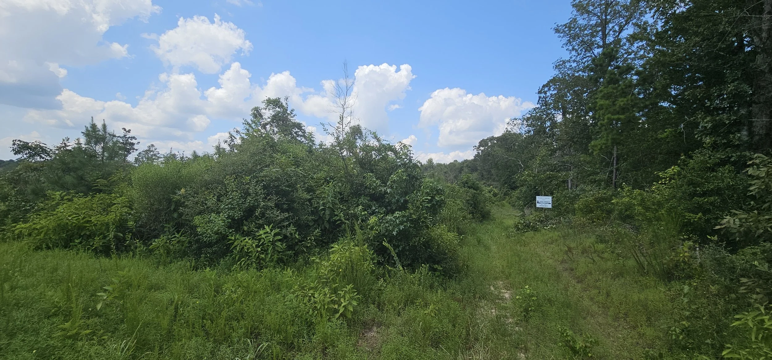 11.82 Acres - Recently Surveyed & Unrestricted - Rural San Augustine, Texas - Financing - $82,615