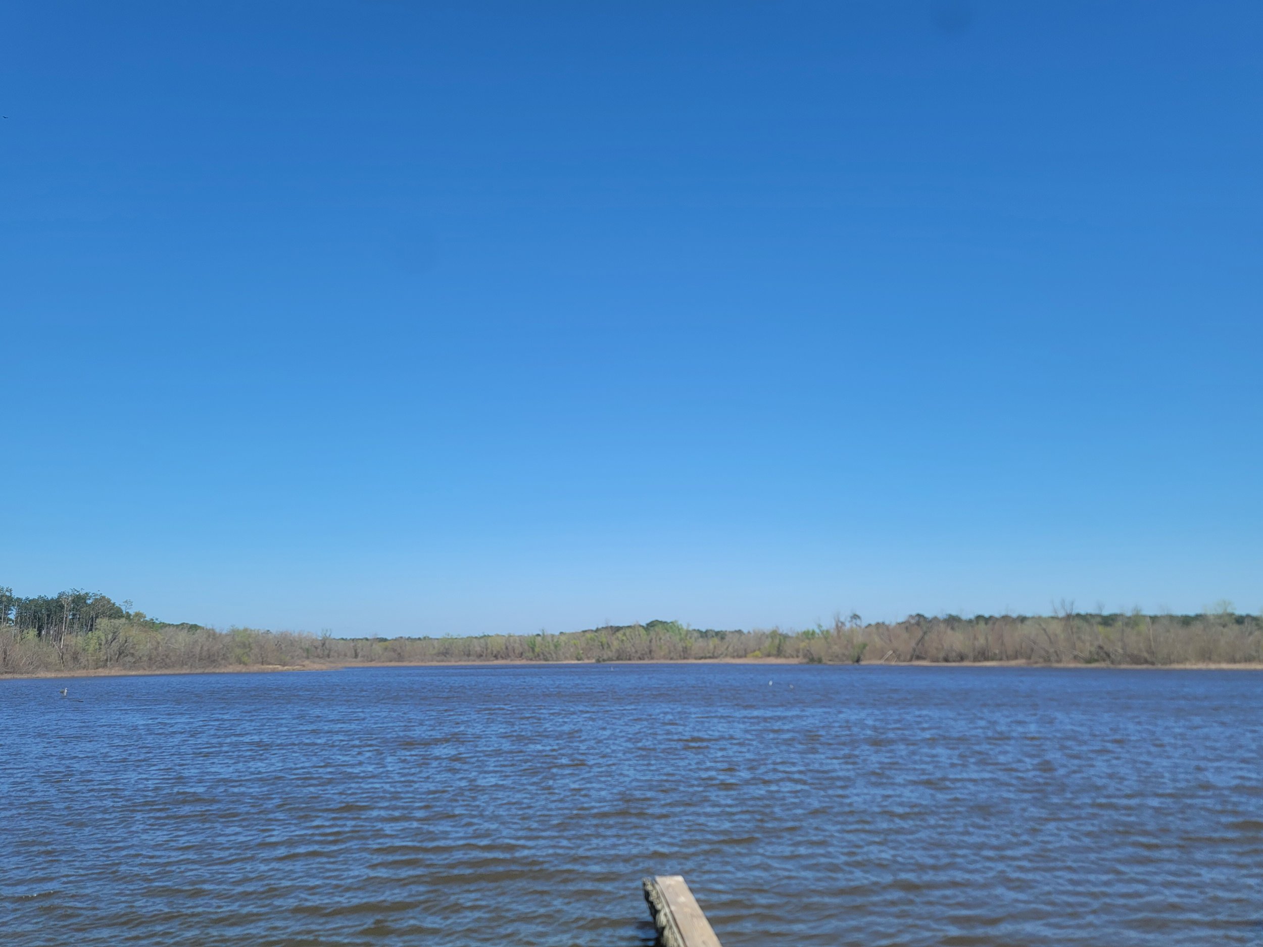 20230303_121029.jpg