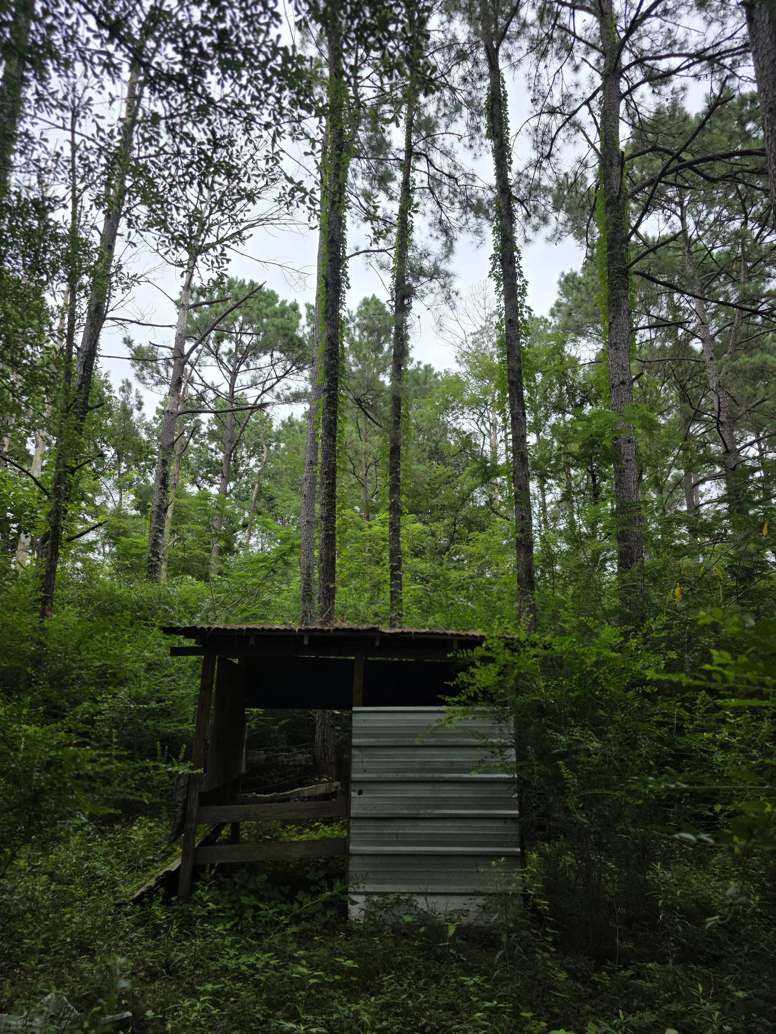 20250717_145819.jpg