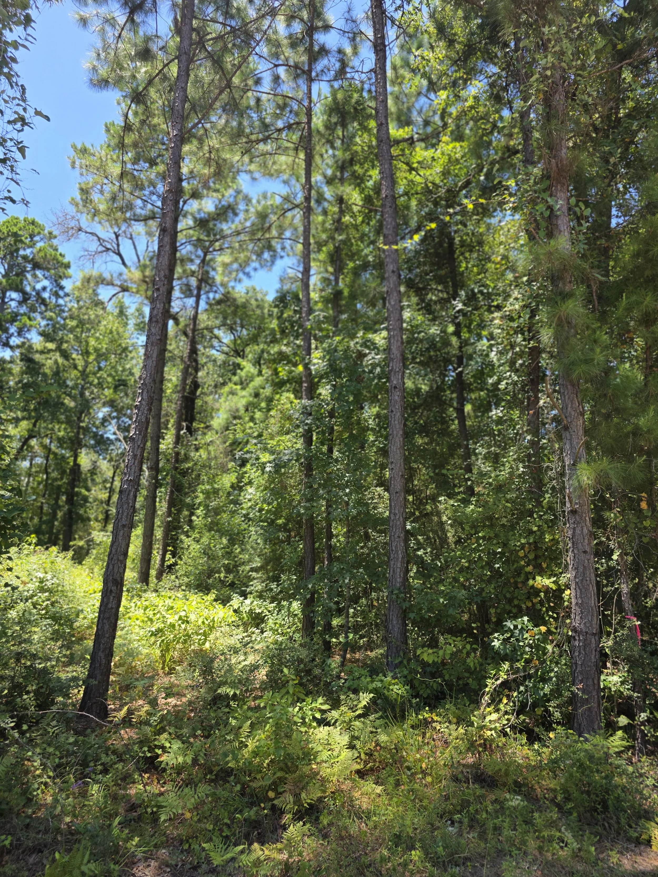 20250724_125651.jpg