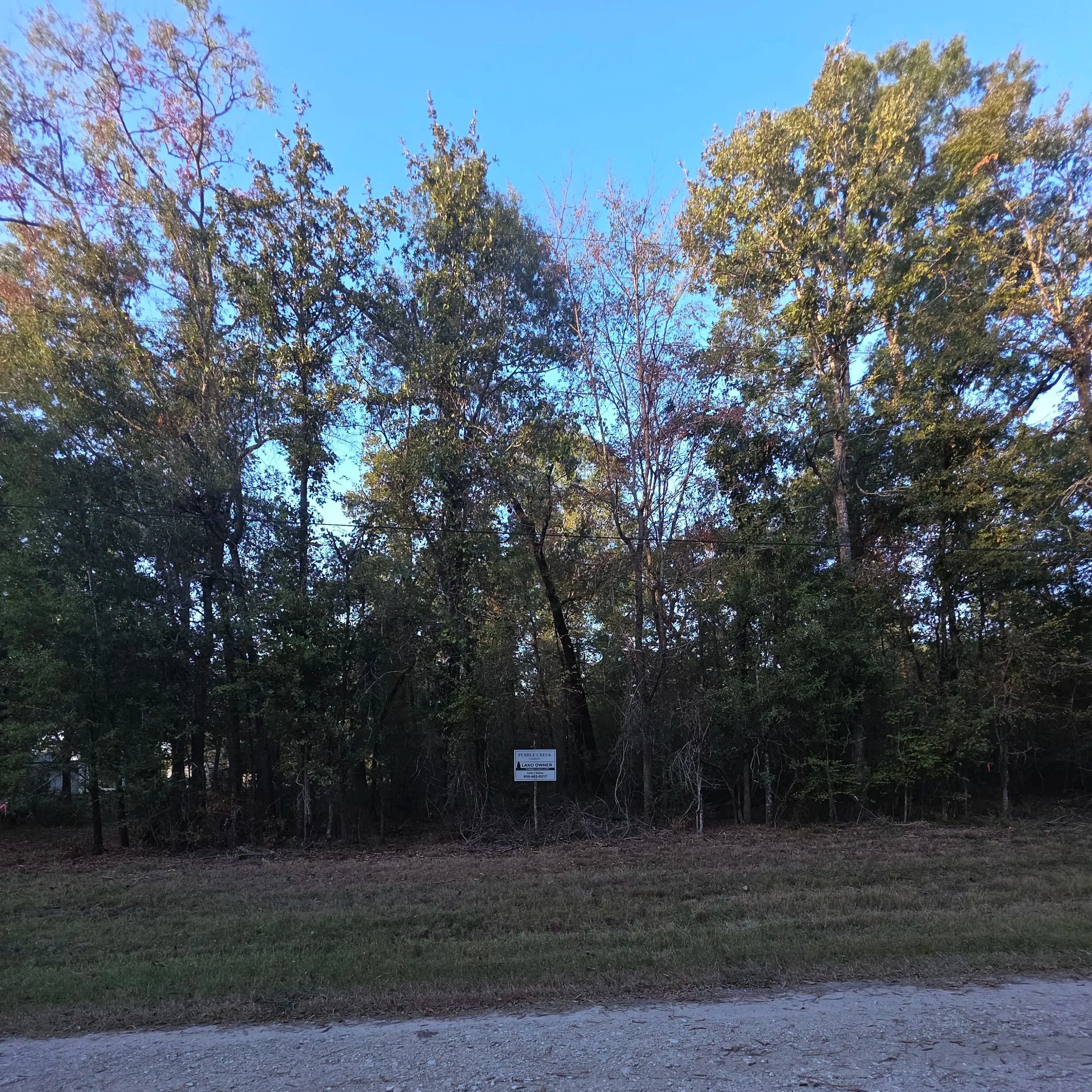 20251022_174601.jpg