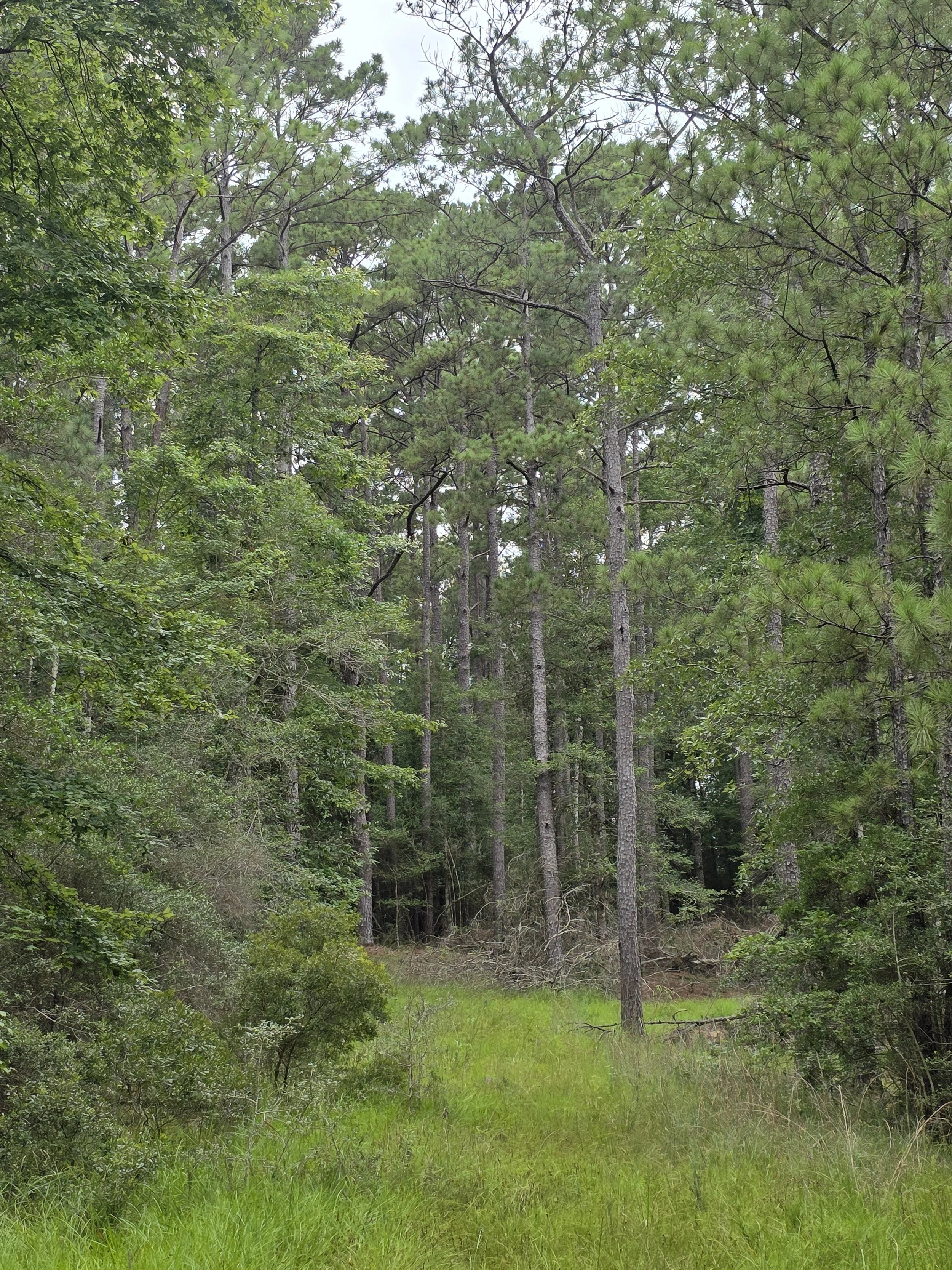 20250717_162403.jpg
