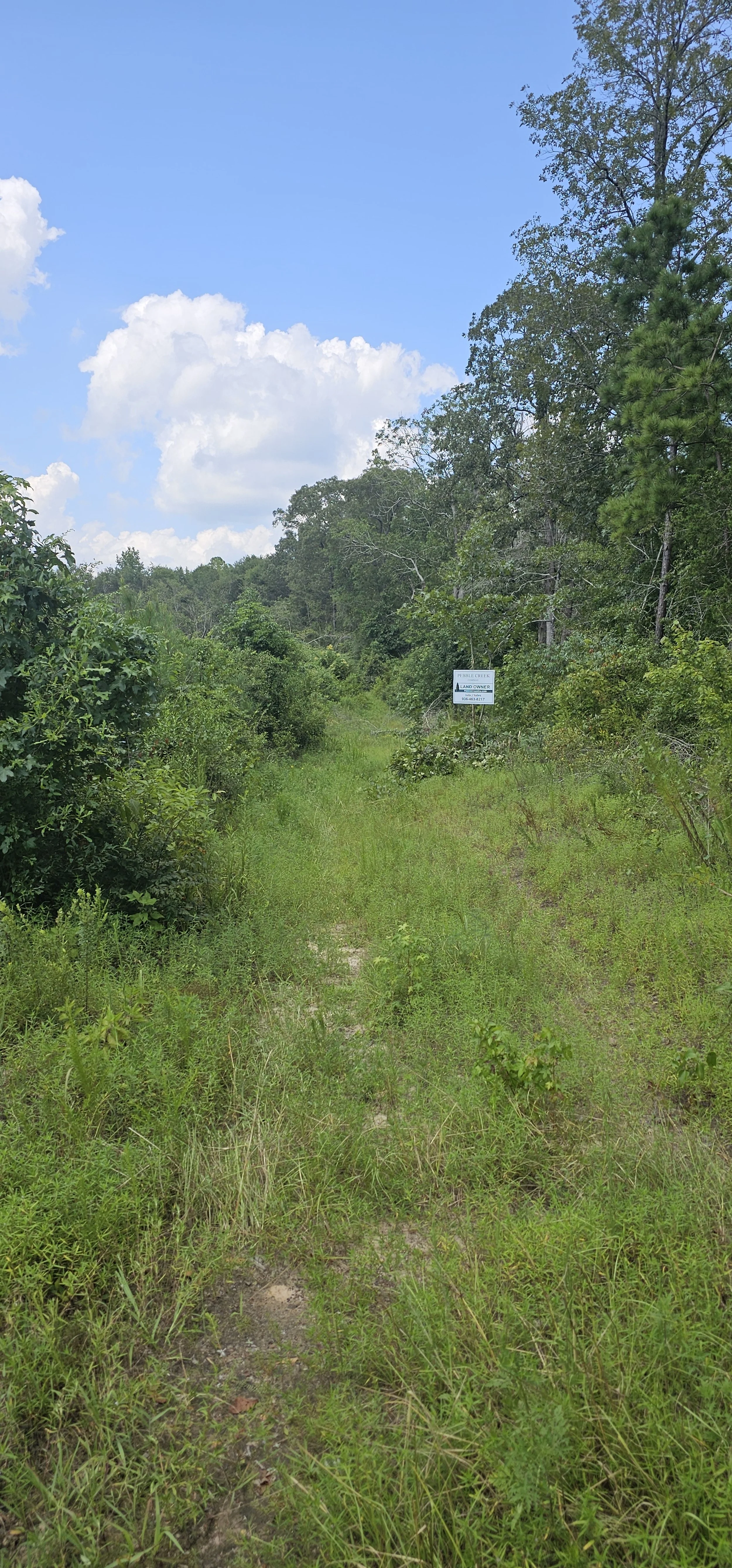 20240719_143207.jpg