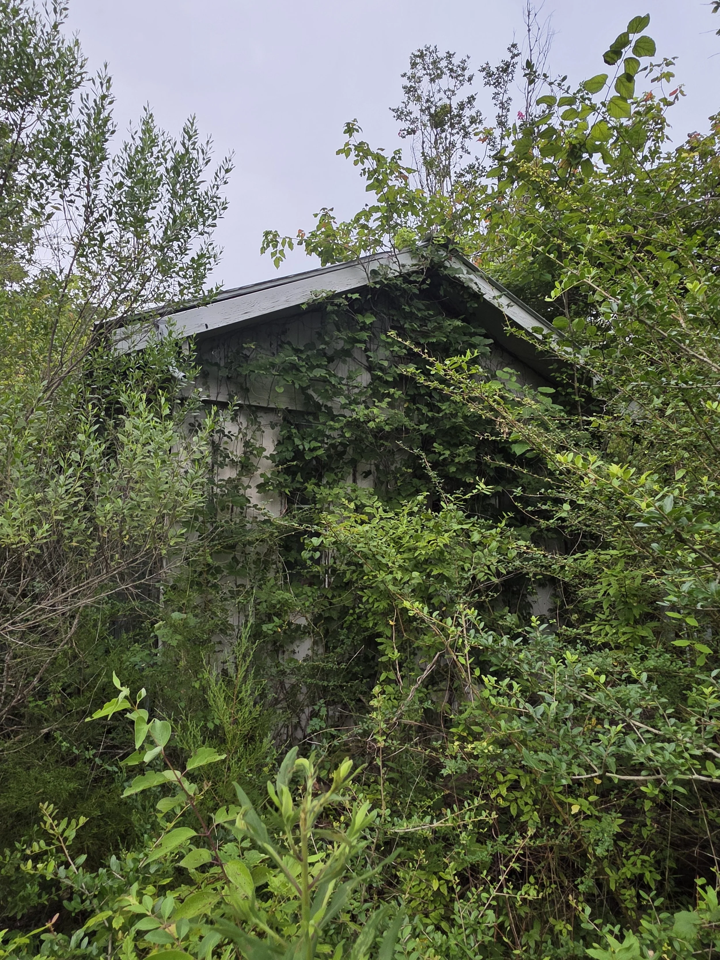 20250717_193111.jpg