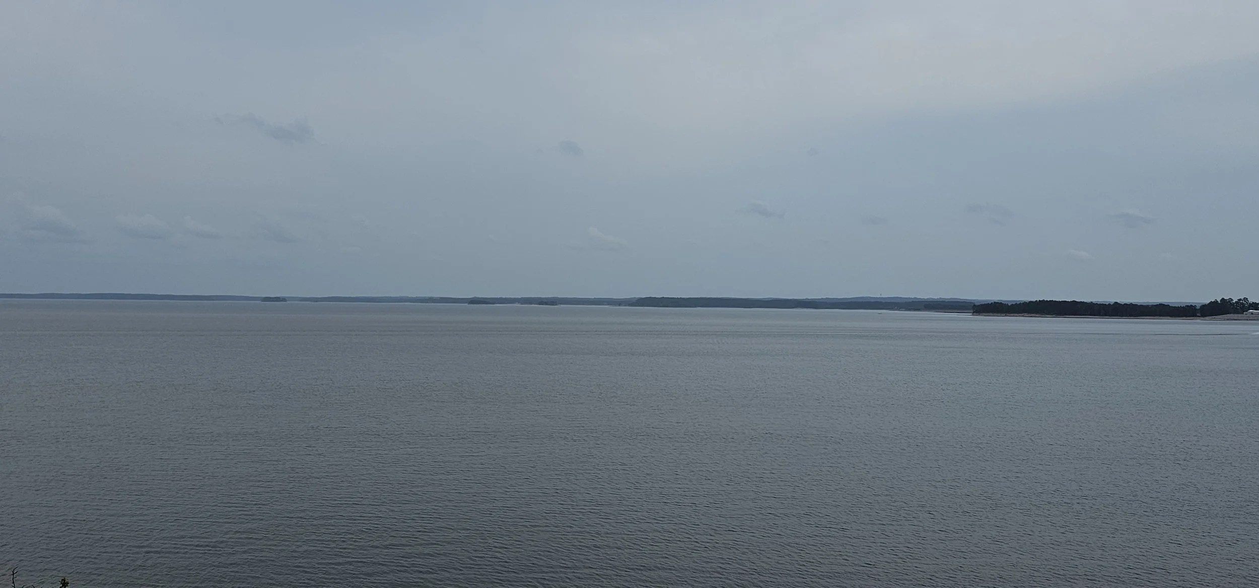 20240417_175124.jpg