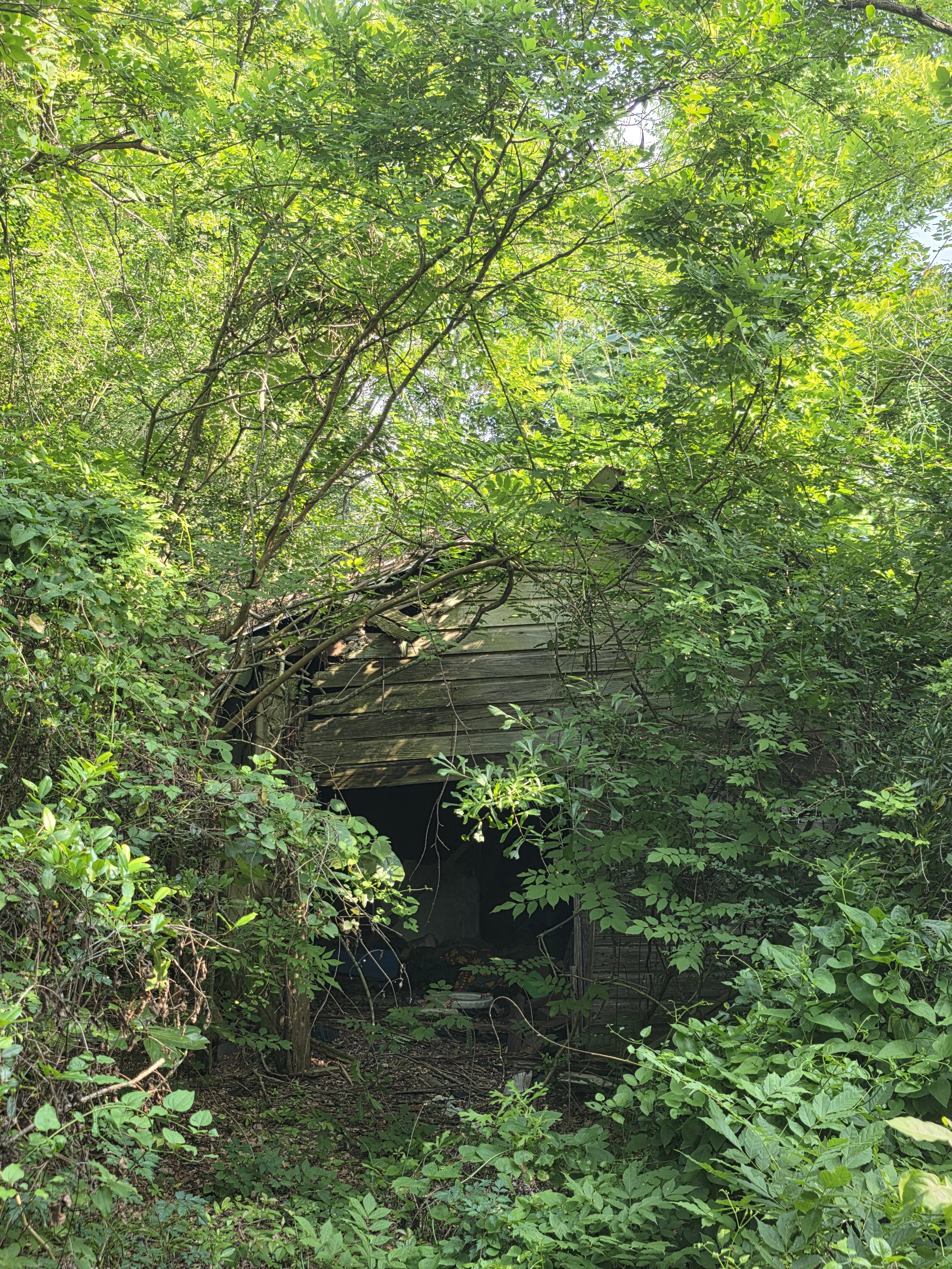 20250430_170310.jpg