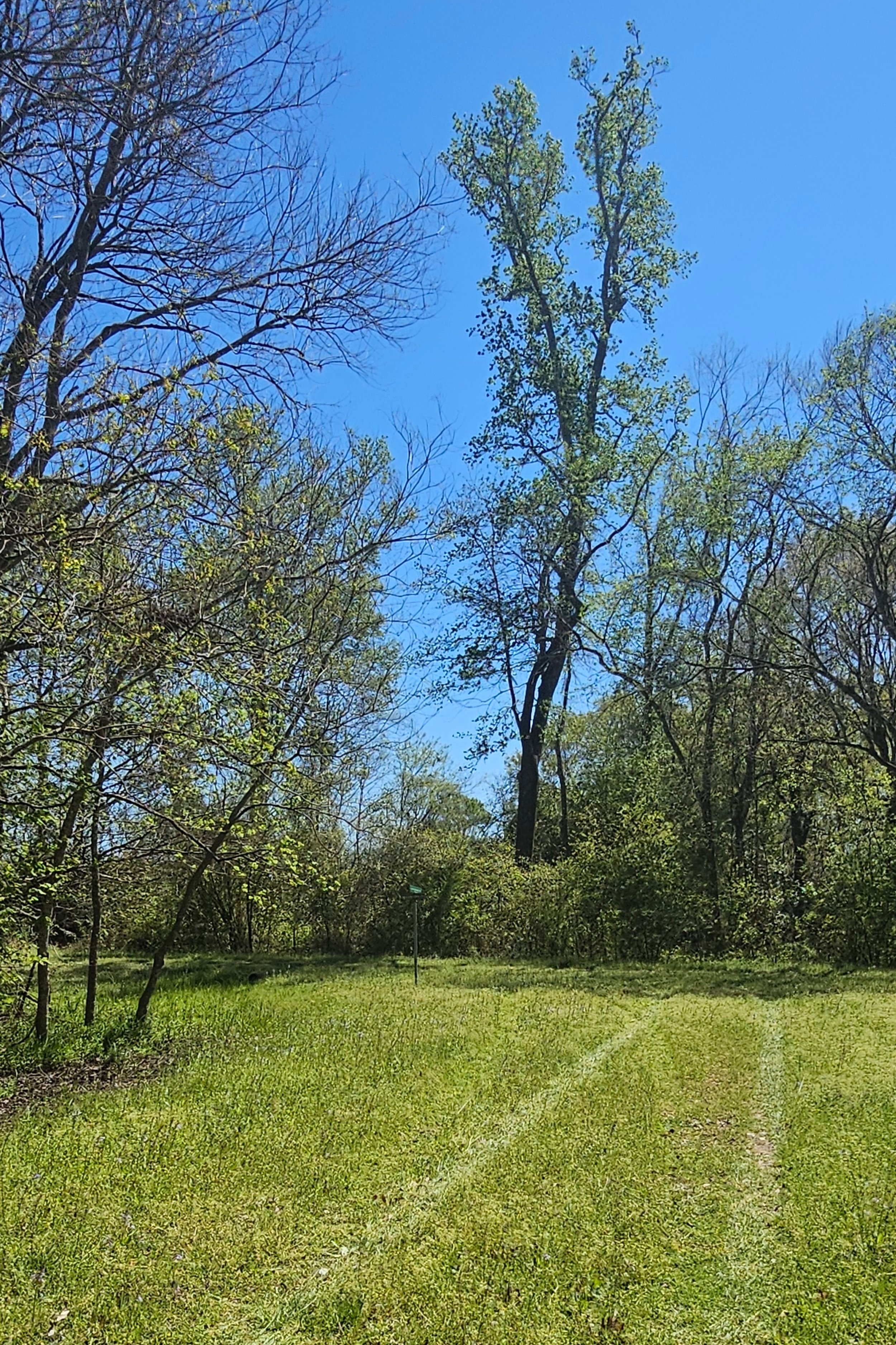 20250320_141656.jpg