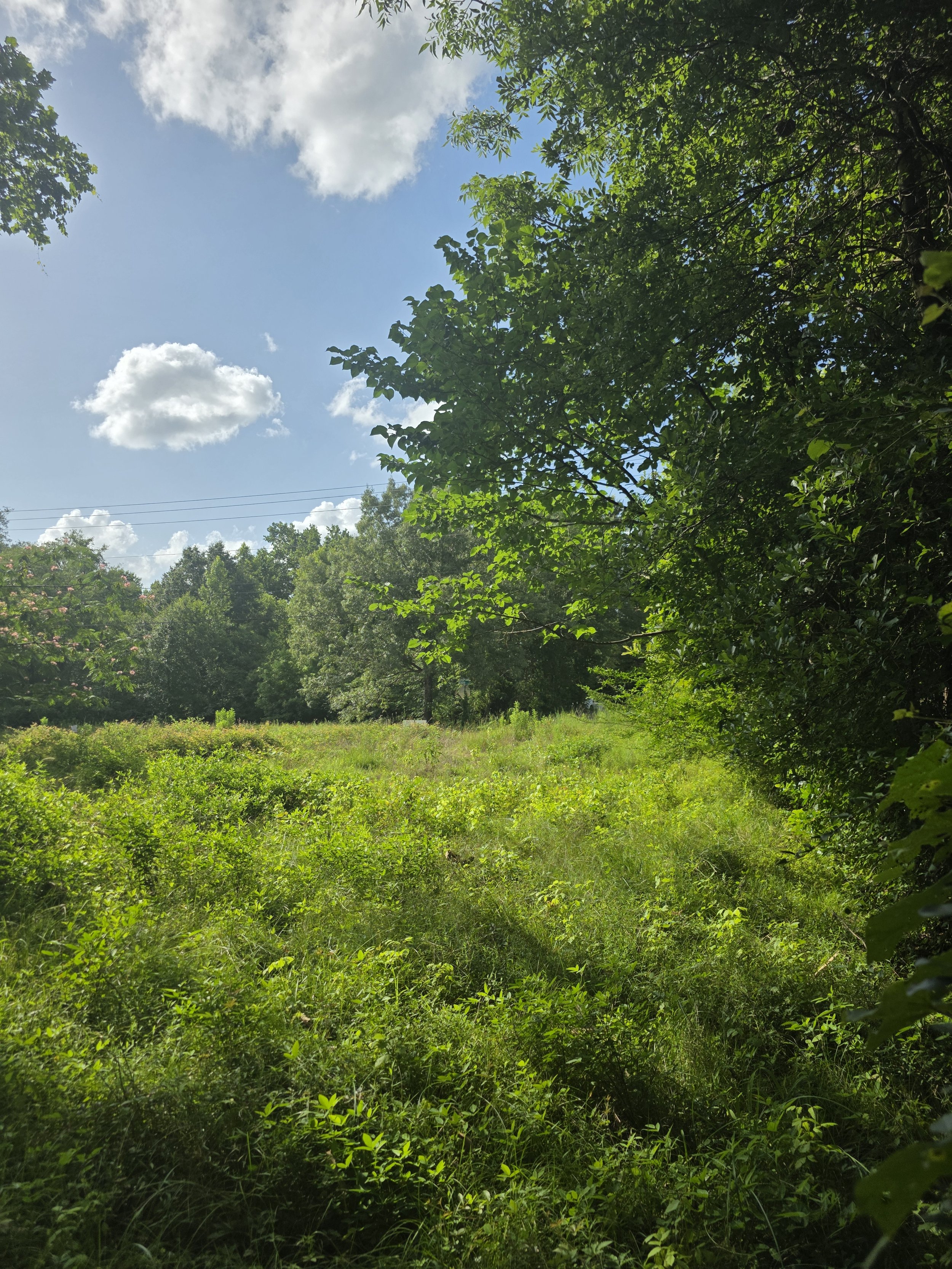 20250619_173440.jpg