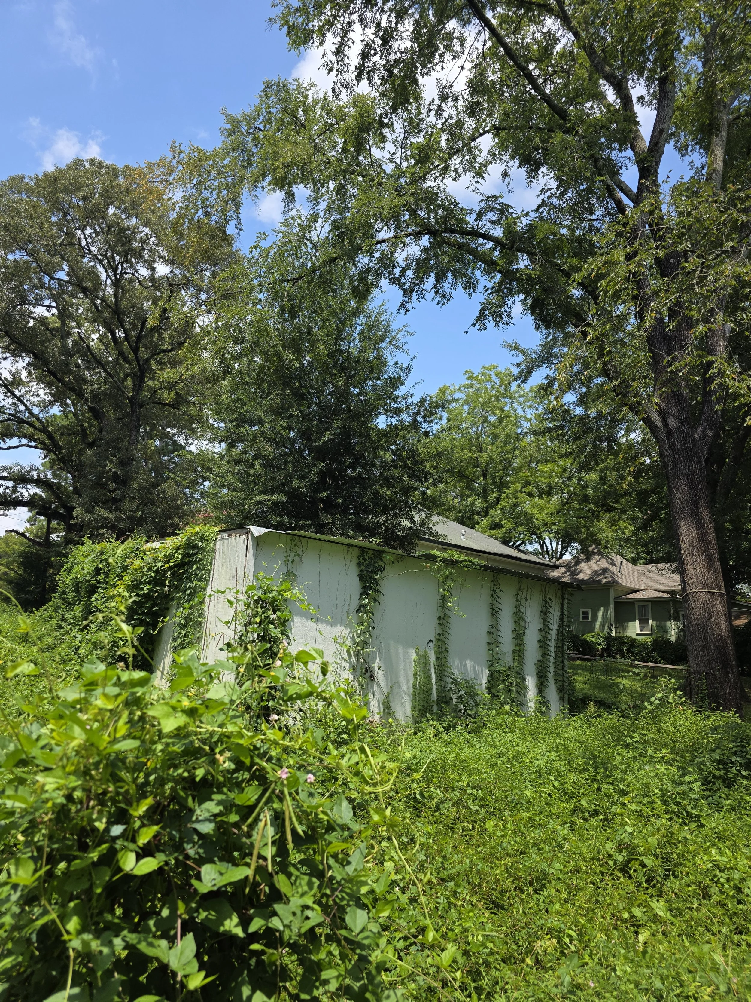 20250802_141804.jpg