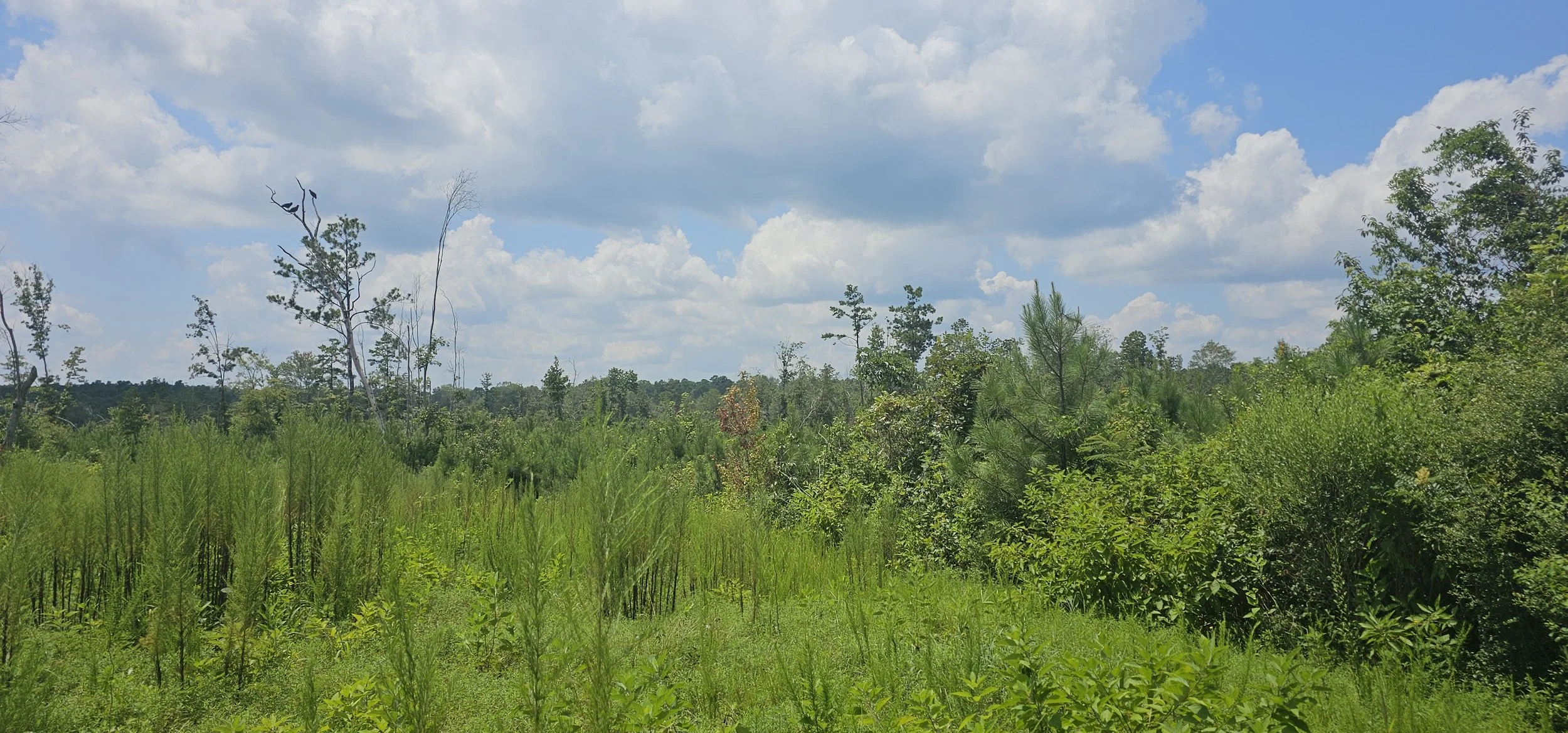 20240719_141848.jpg