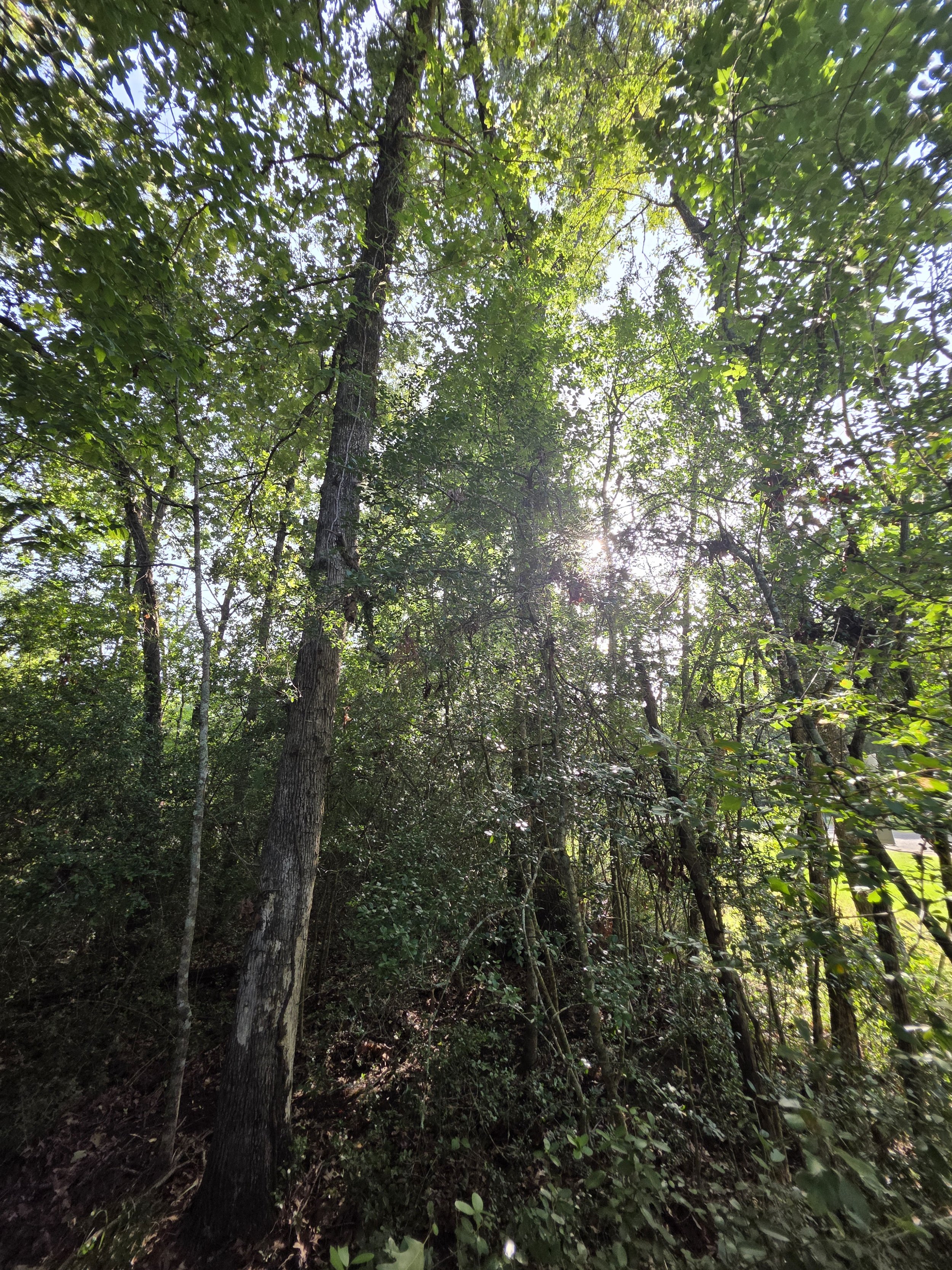 20250710_180605.jpg