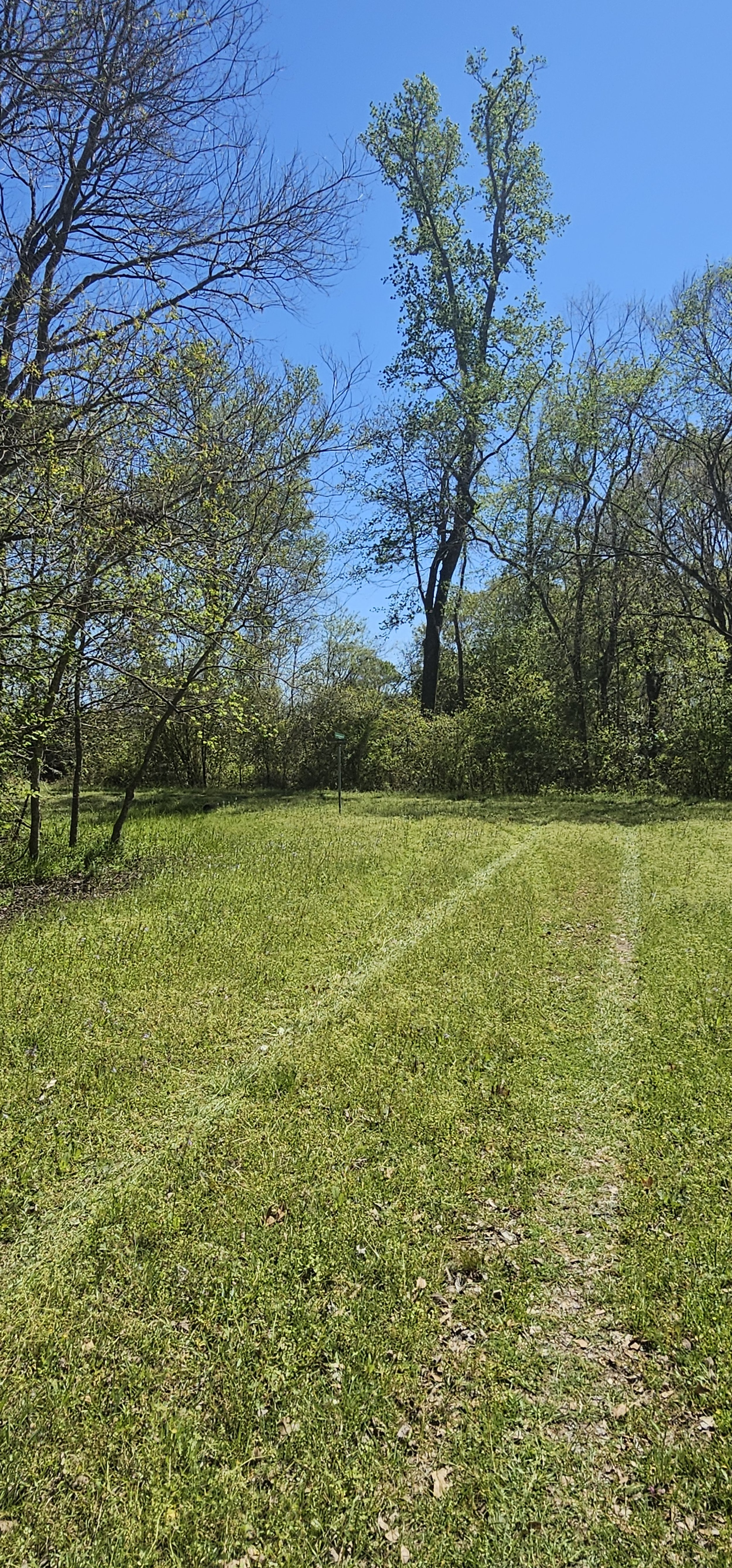 A Quarter Acre Lot - Road Frontage - Quiet Area - Shepherd, Texas - Financing - $13,660