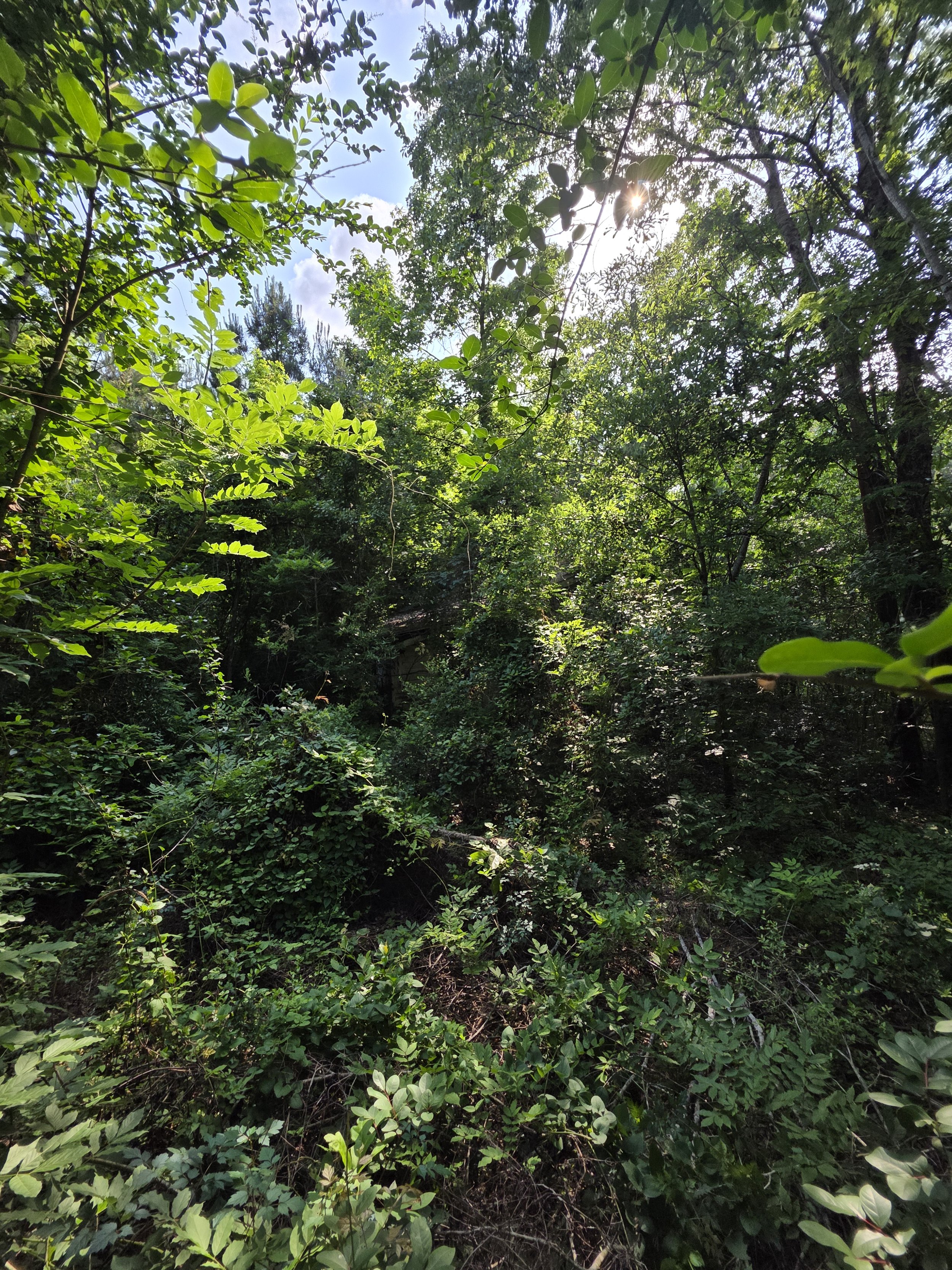 20250430_170355.jpg