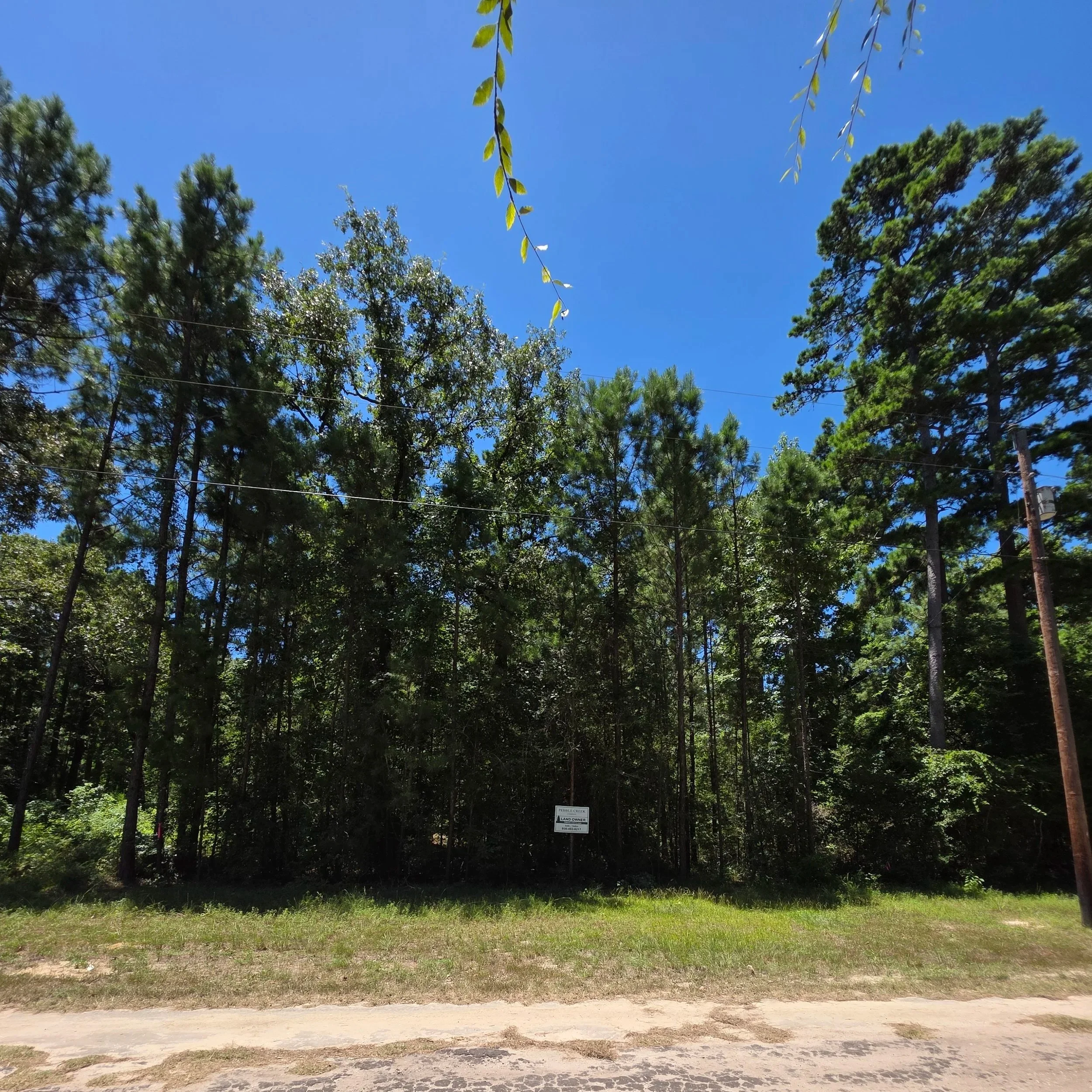60 X 120 Lot - Lake Livingston Subdivision - Trinity, Texas - Financing - $11,995