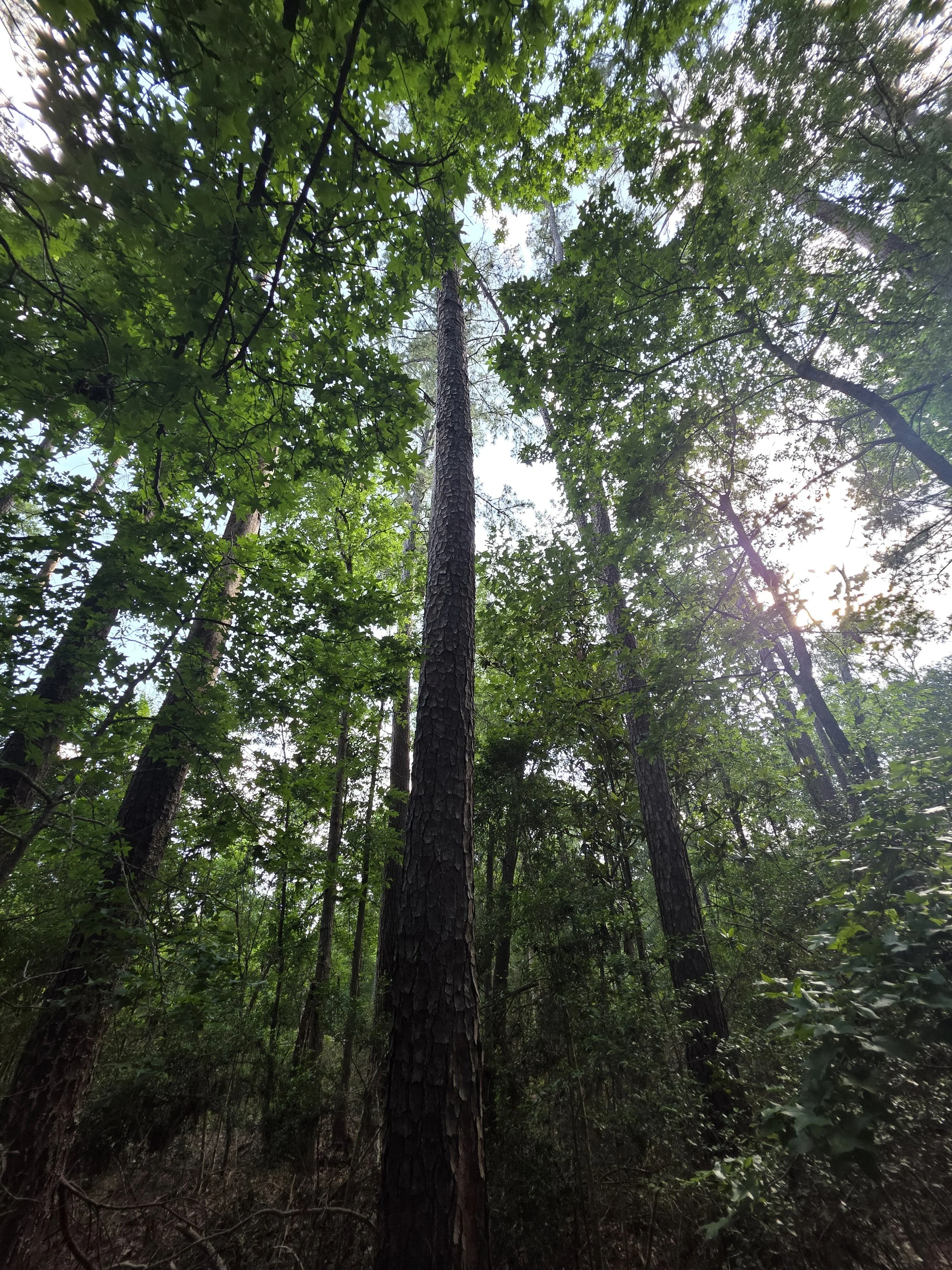 20250605_173009.jpg