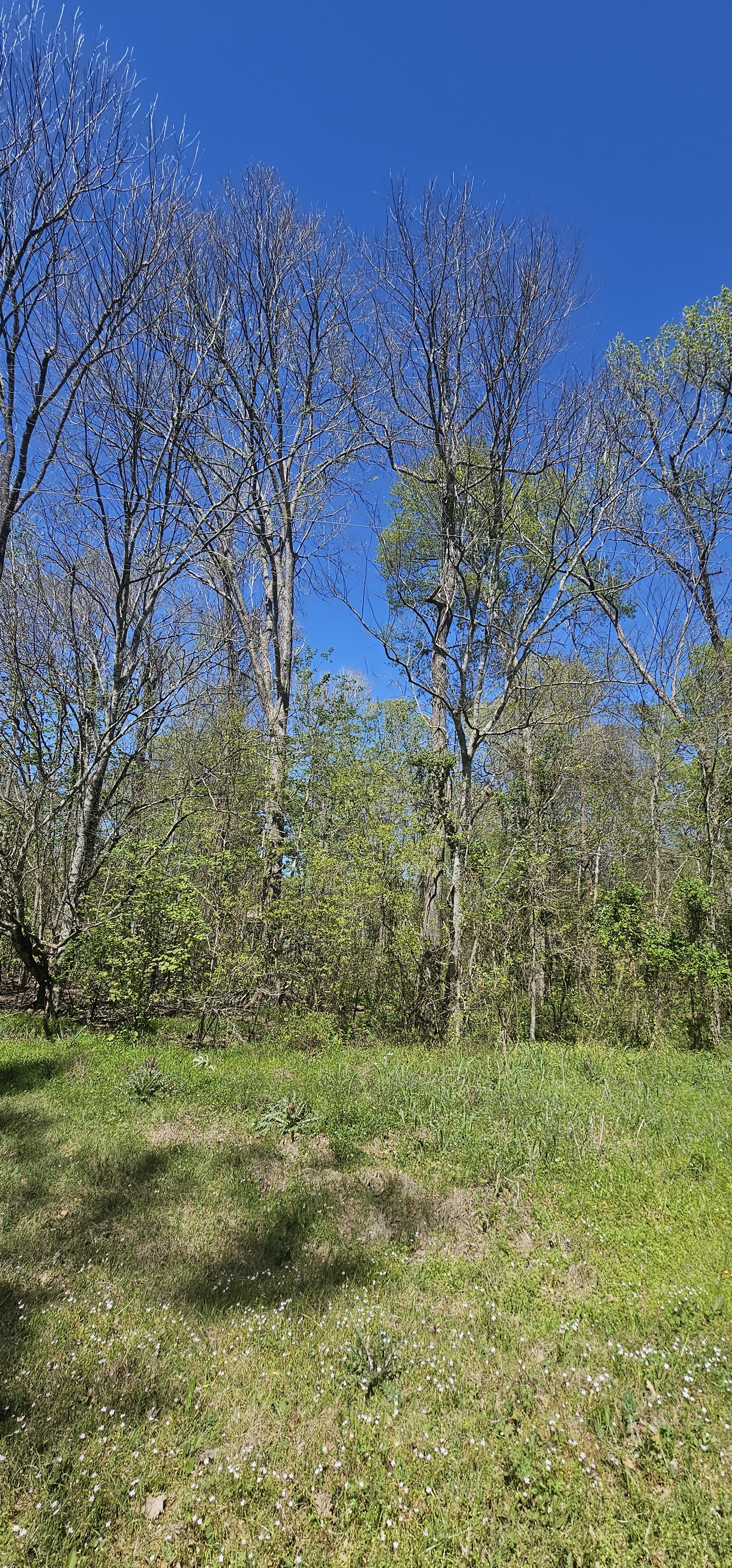 20250320_141808.jpg