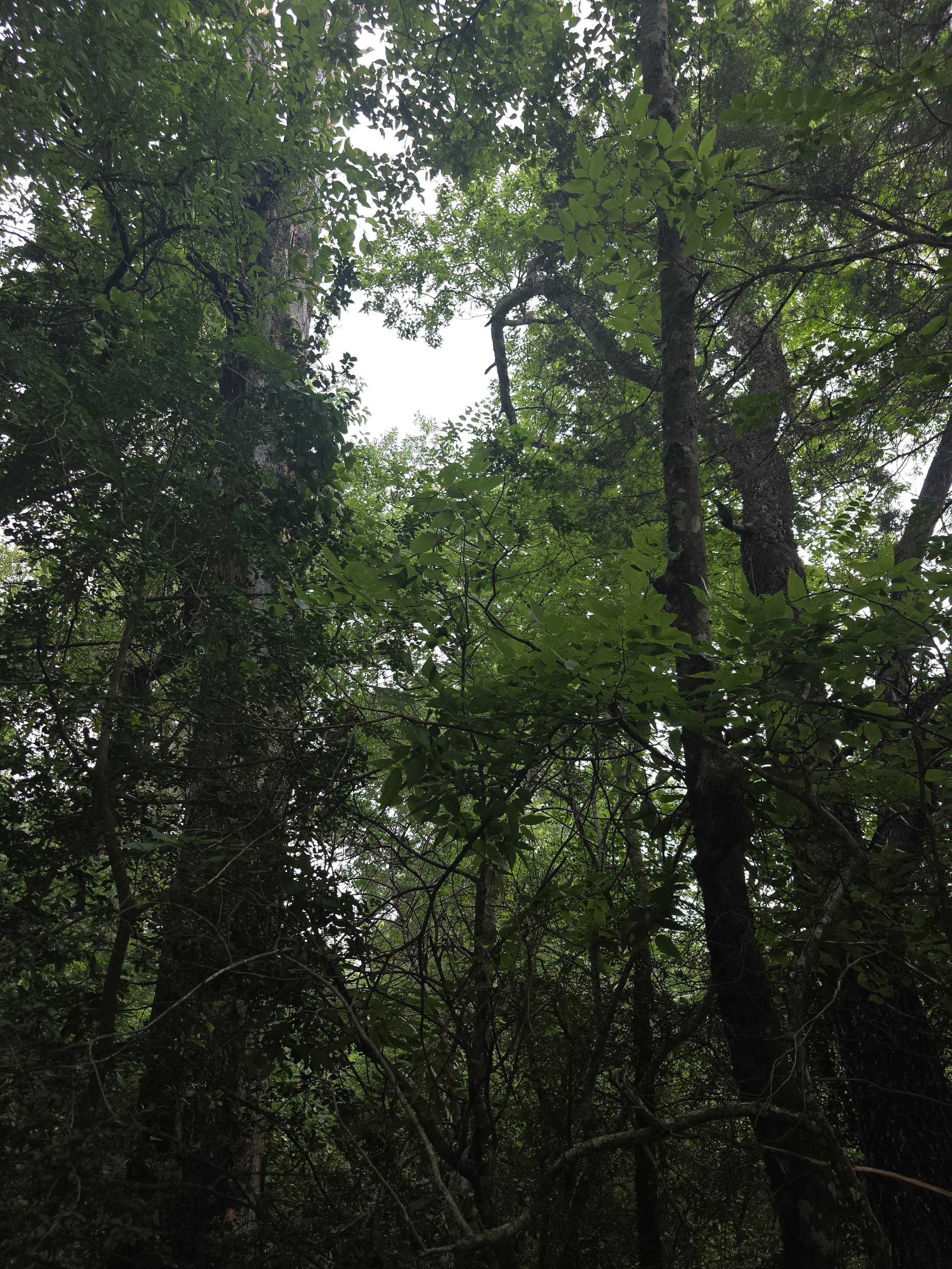 20250603_145821.jpg