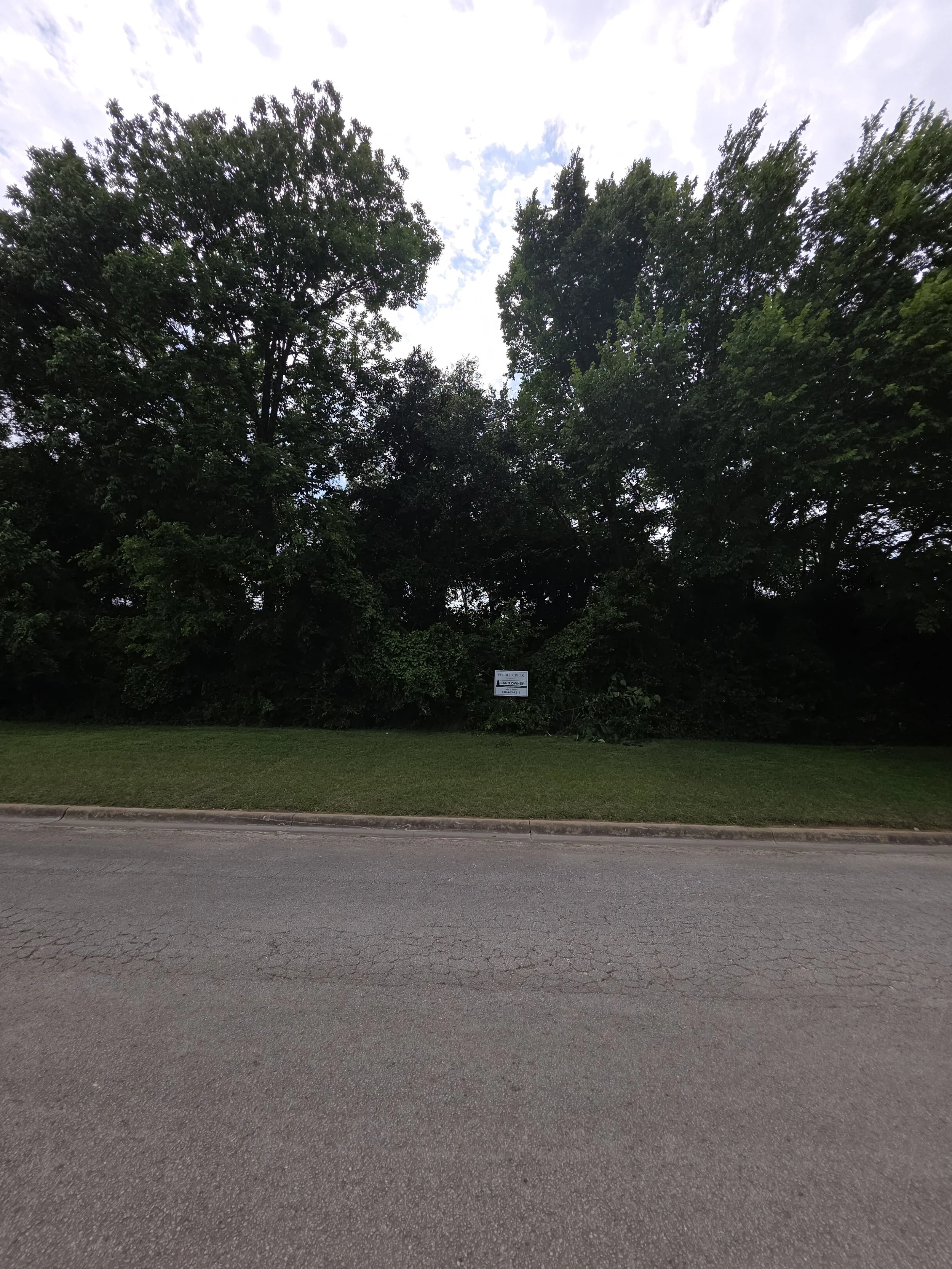 .5 Acre +/- Paved Road Frontage - Unrestricted - Fairfield, Texas - Financing - $19,735