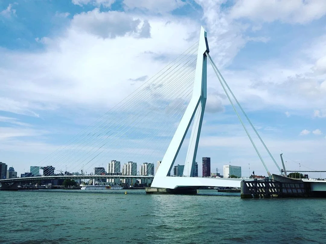 The locals call it &ldquo;the swan of Rotterdam&rdquo; but I think it looks more like someone dropped their oversized harp in the river
.
.
.
.
.
 #ic_architecture #icu_architecture #jj_architecture #creative_architecture #arkiromantix #tv_architectu