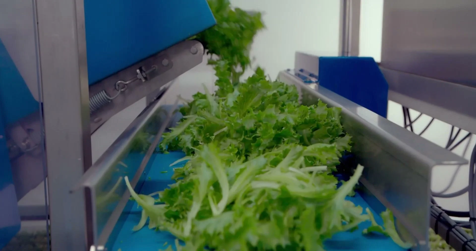 plantlab-video-fallback.jpg